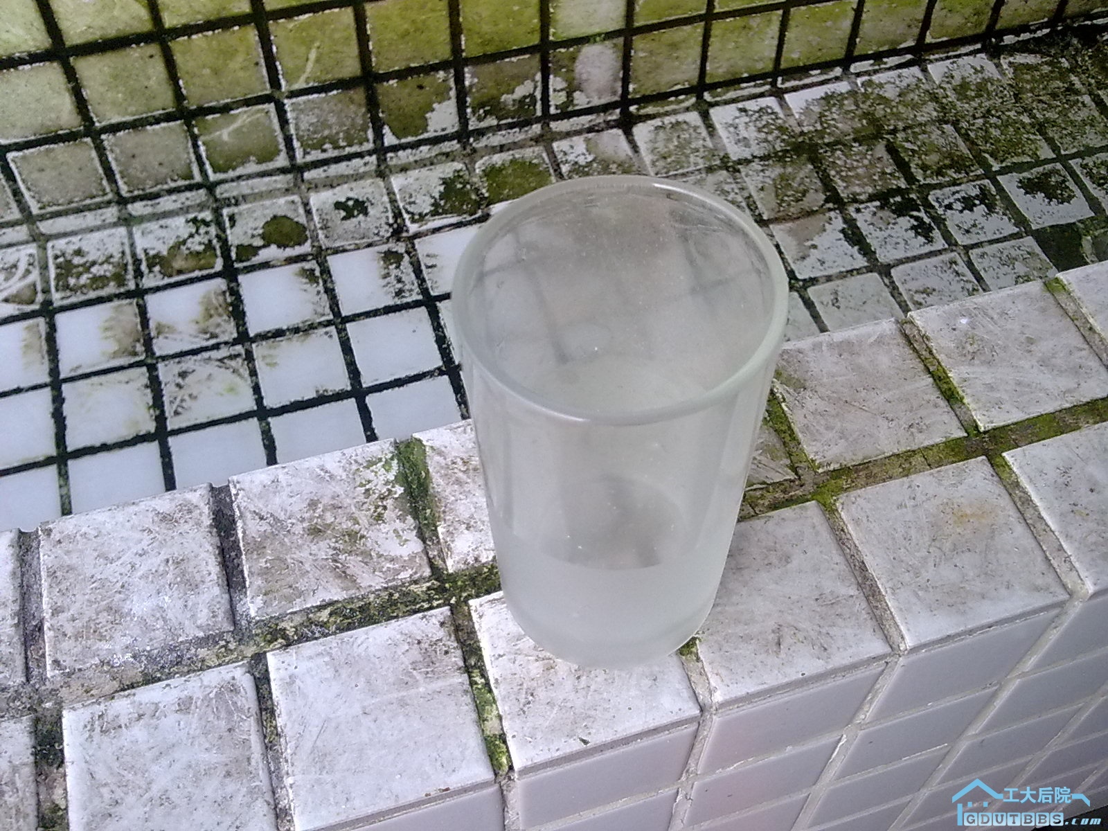 全新玻璃杯三个，每个1元哦