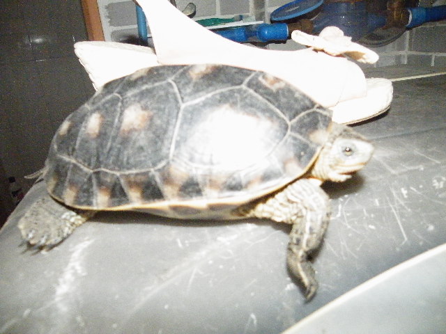 DSCF6840.JPG