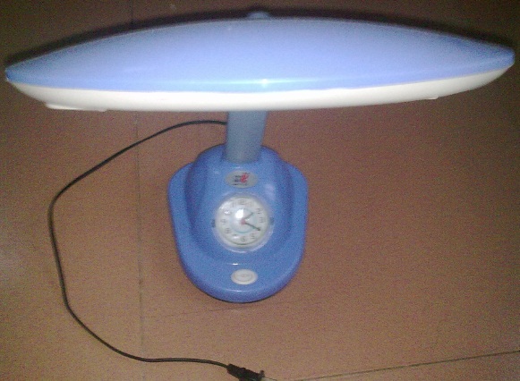 20100513021.jpg