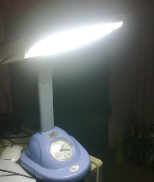 20100513020.jpg
