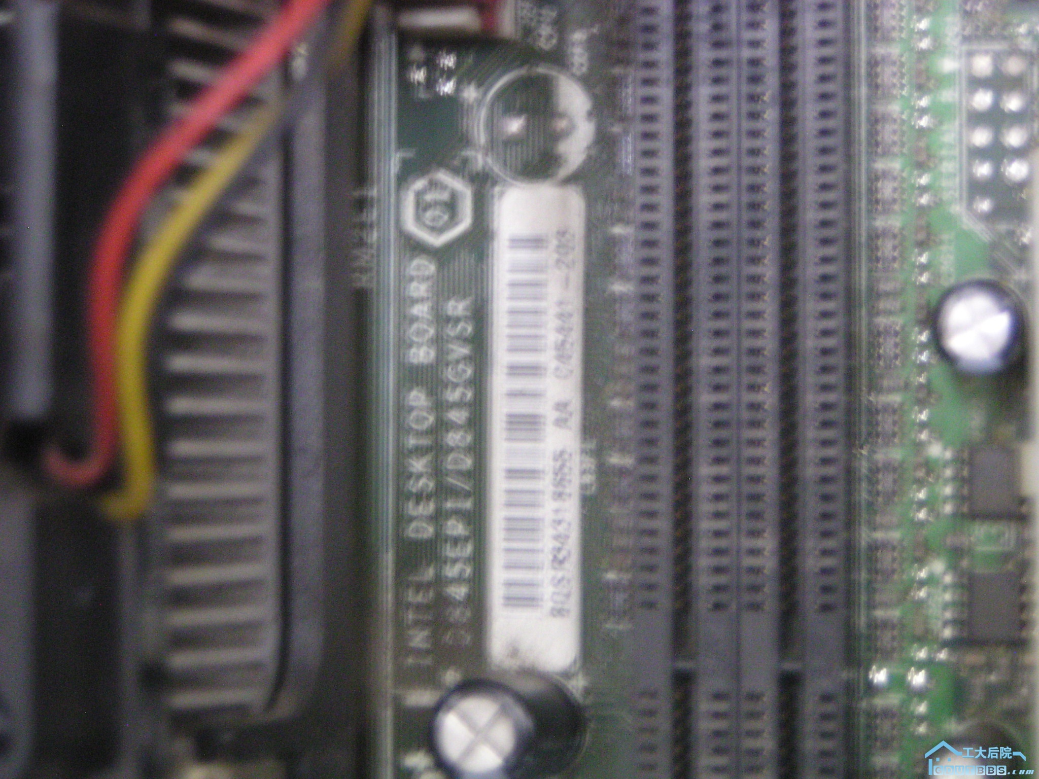 P1110056.JPG