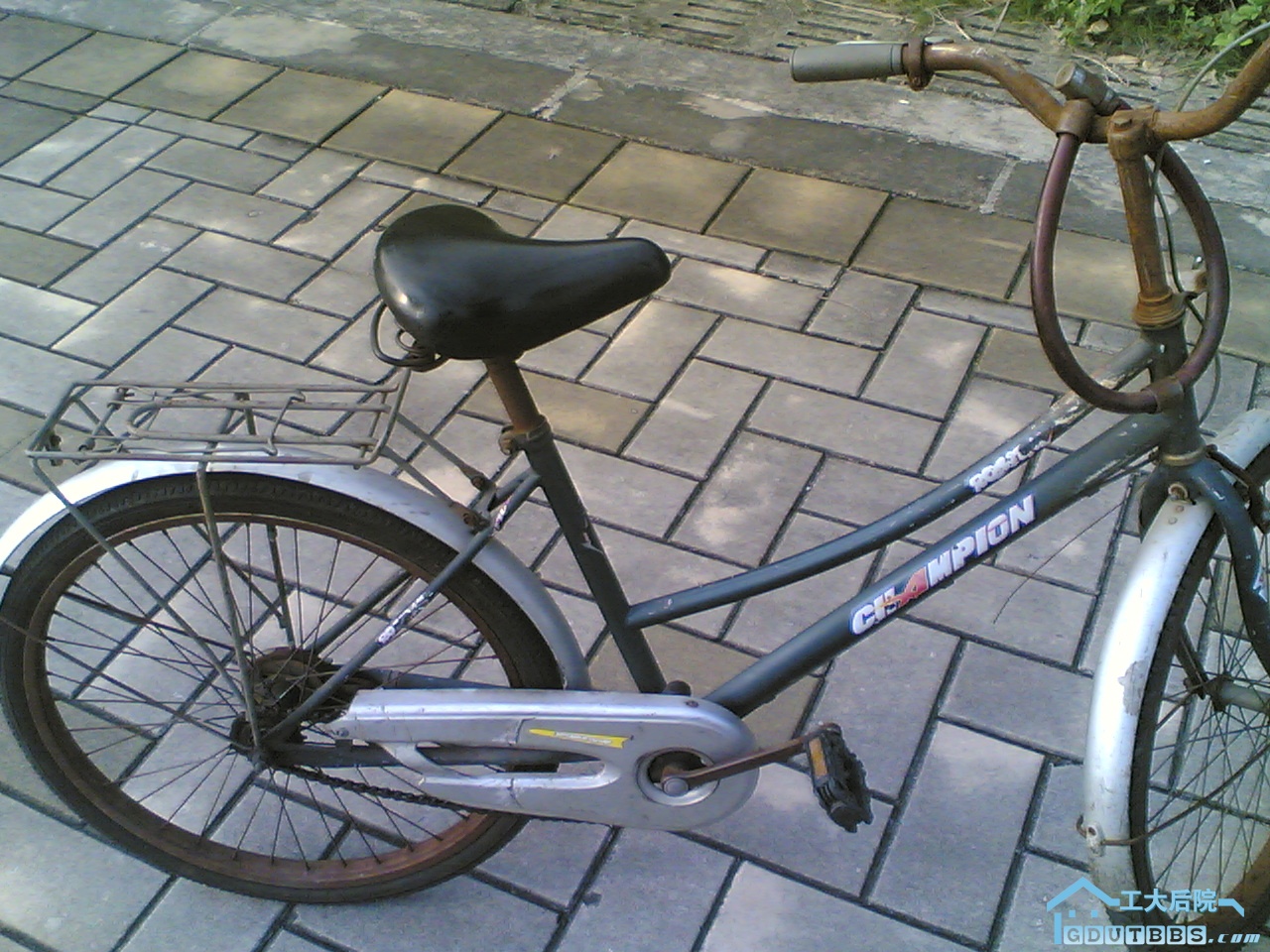 20100517(004).jpg