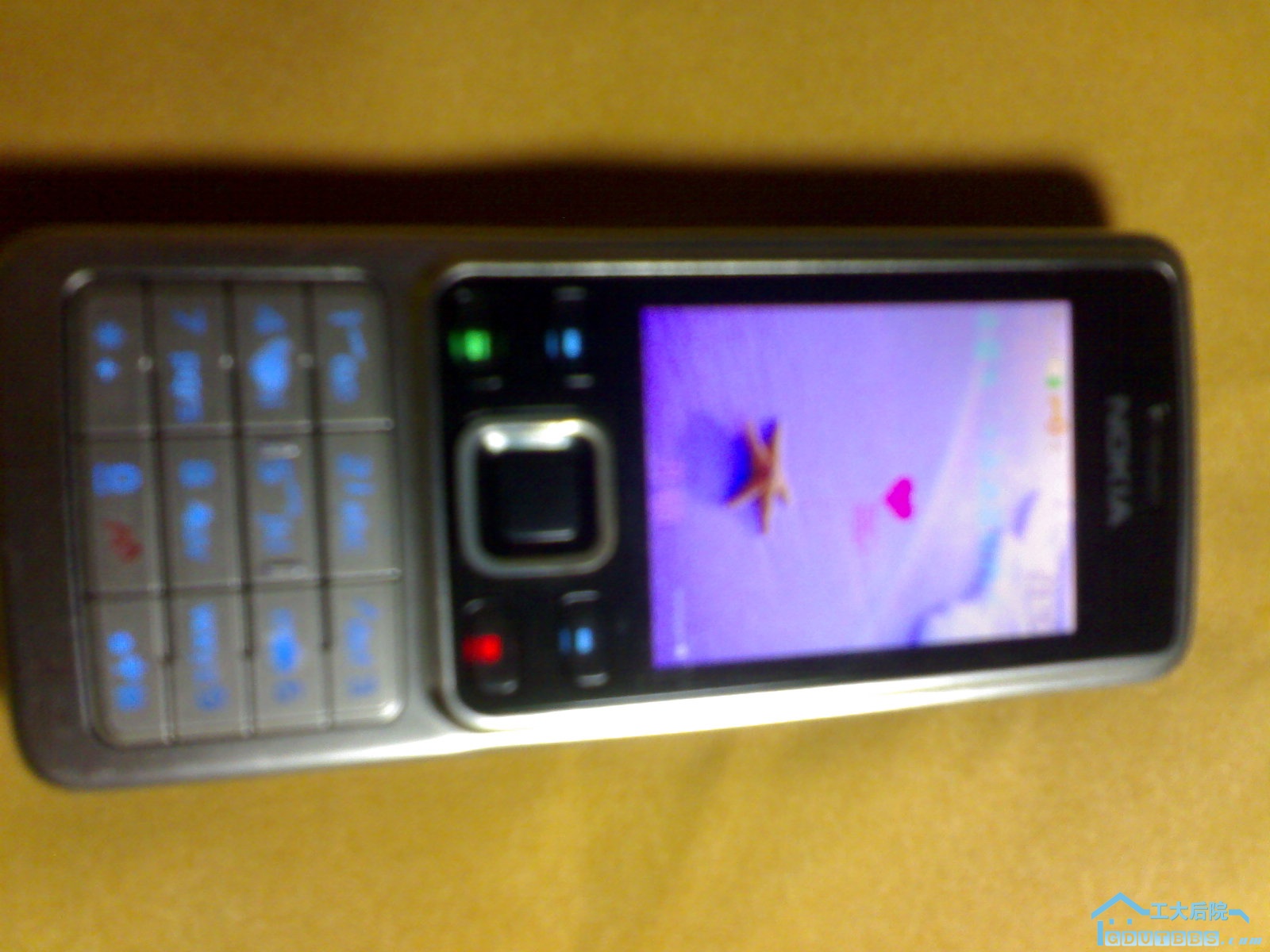 20100522079.jpg
