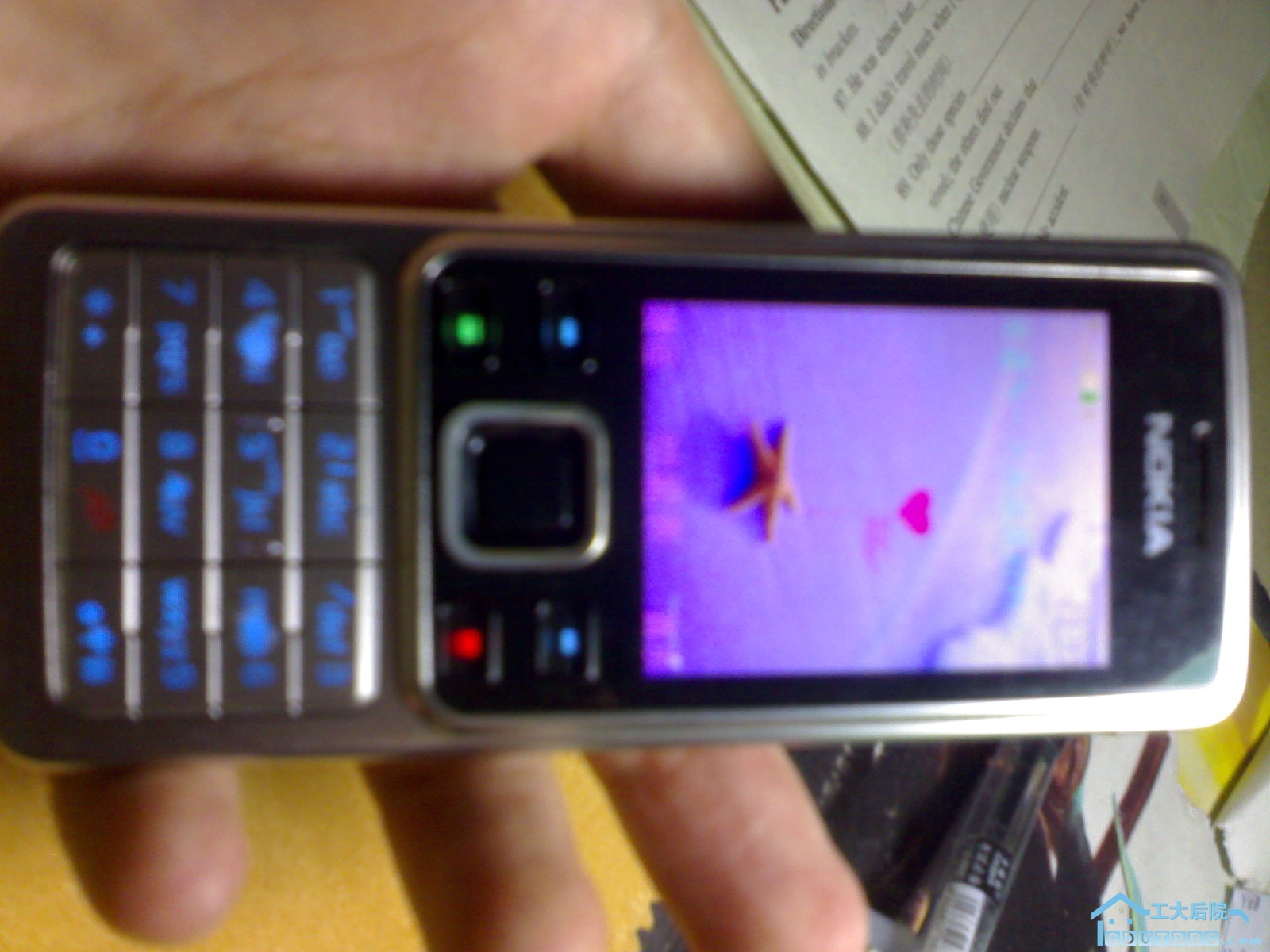 20100522085.jpg