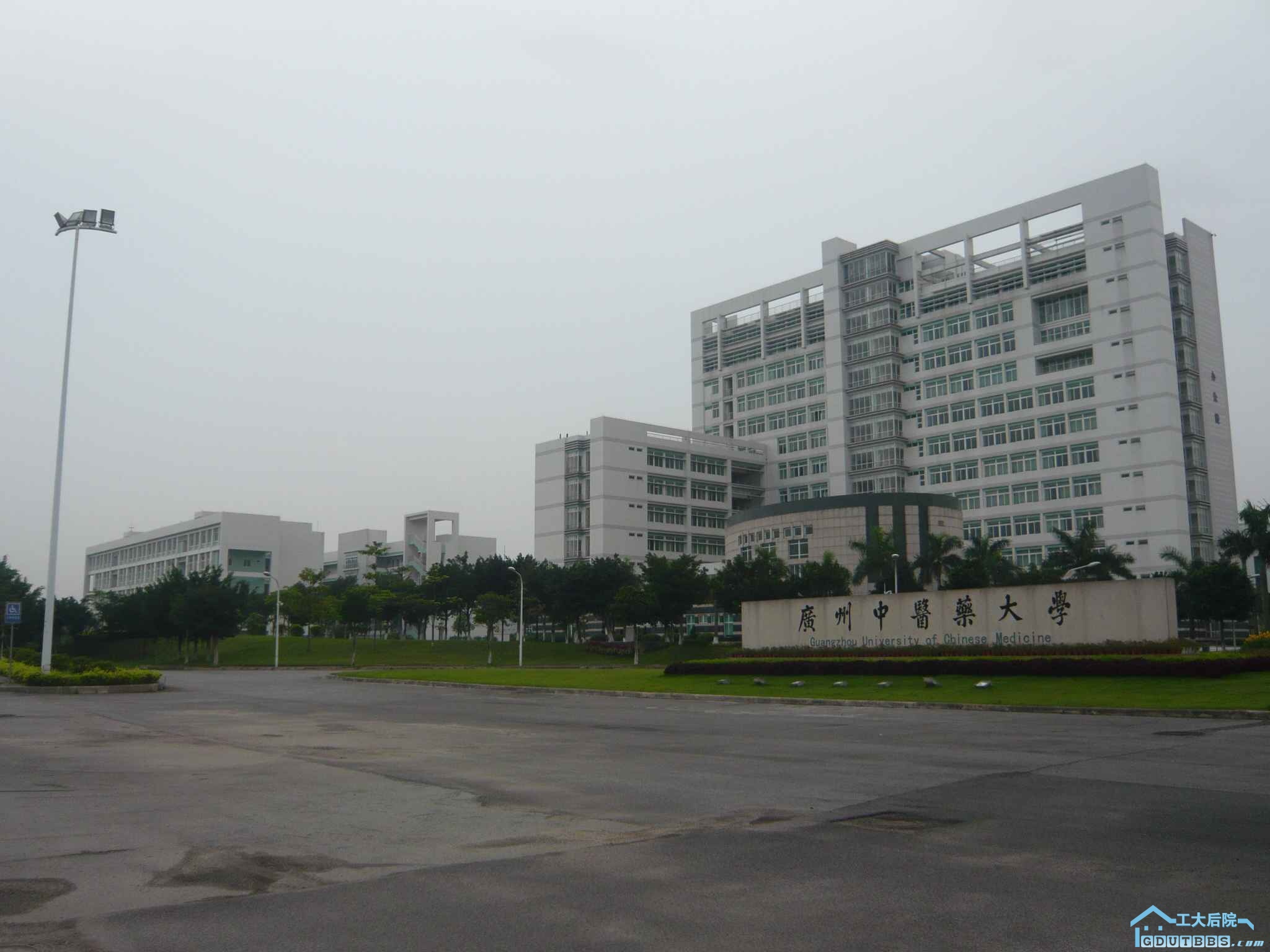 P1110787.JPG
