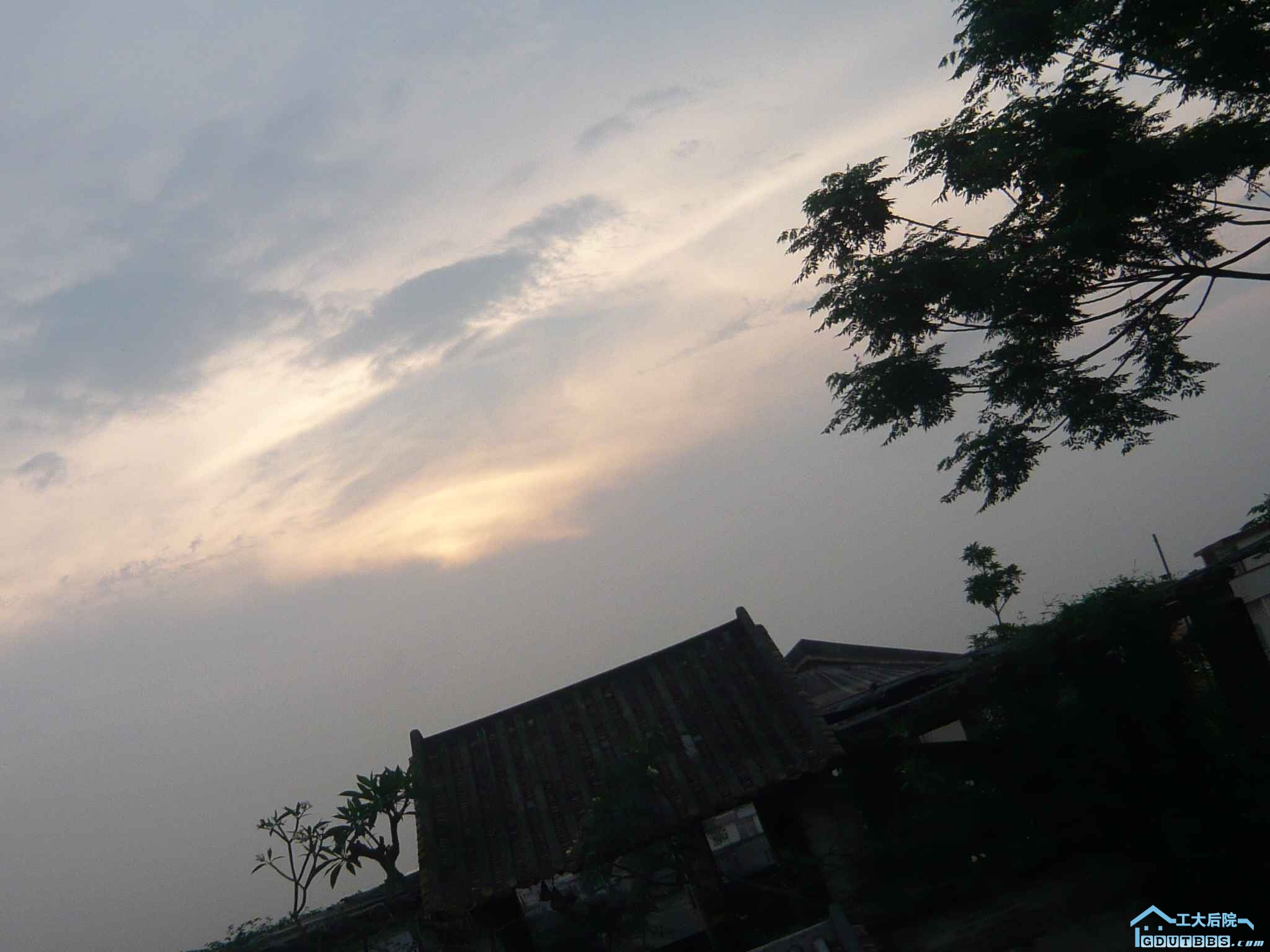 P1110799.JPG