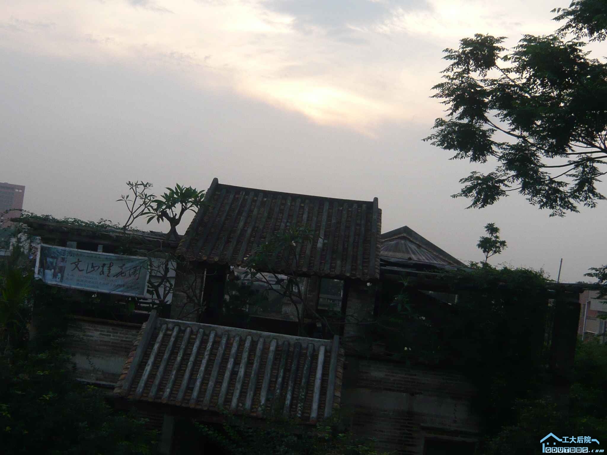P1110798.JPG