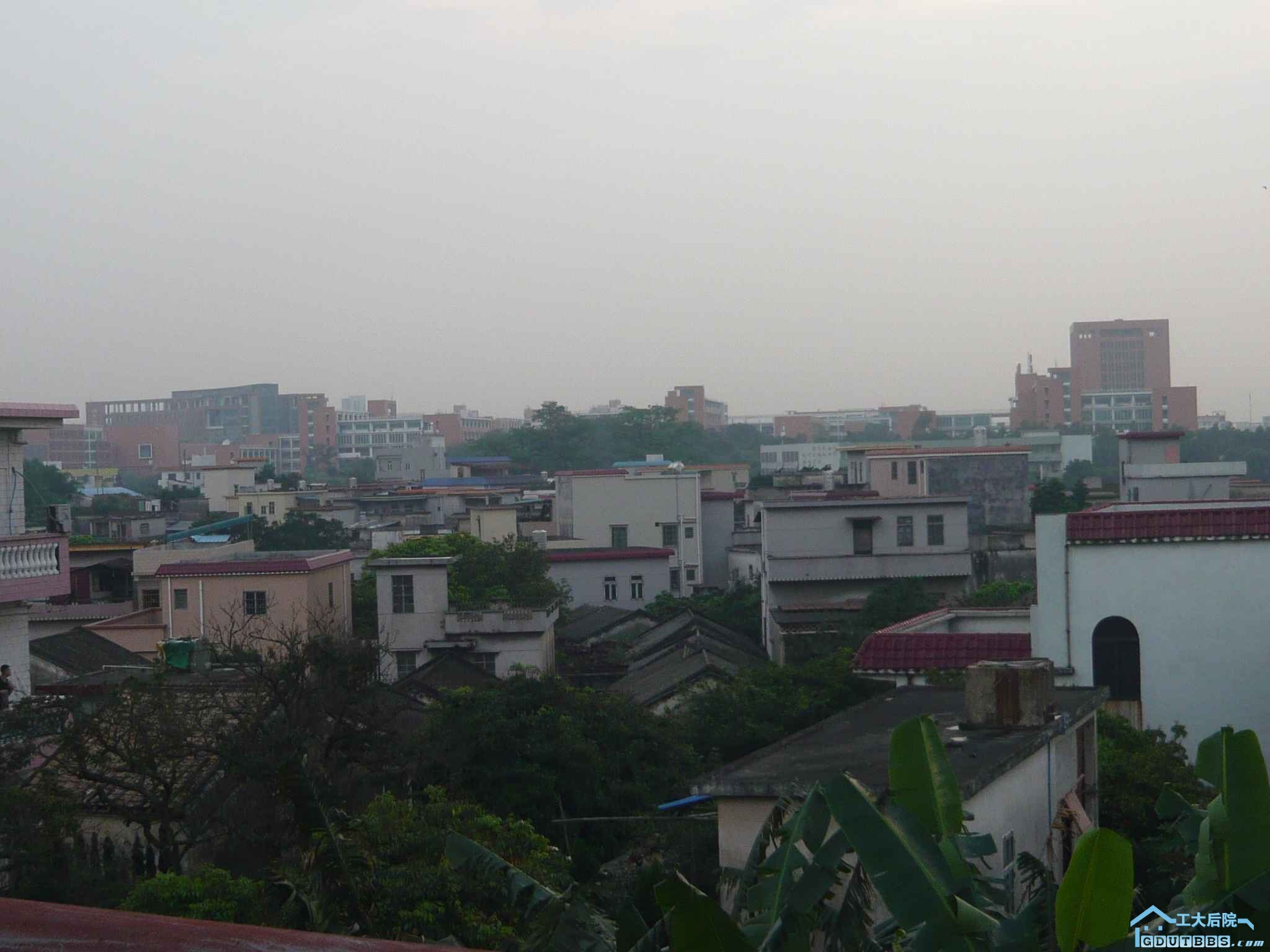 P1110800.JPG
