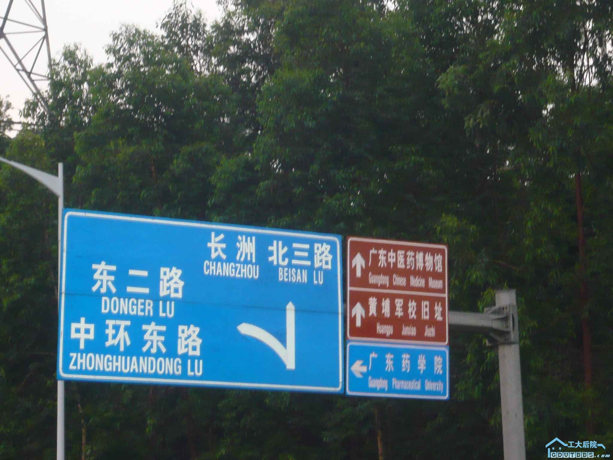 P1110794.JPG