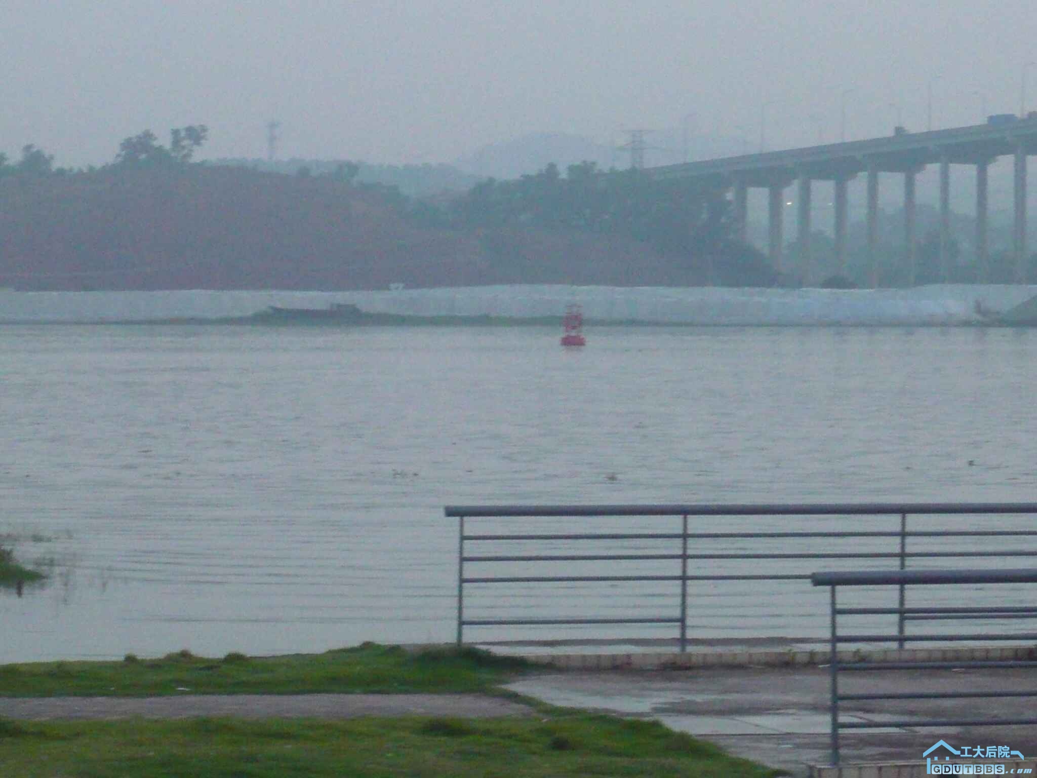 P1110817.JPG
