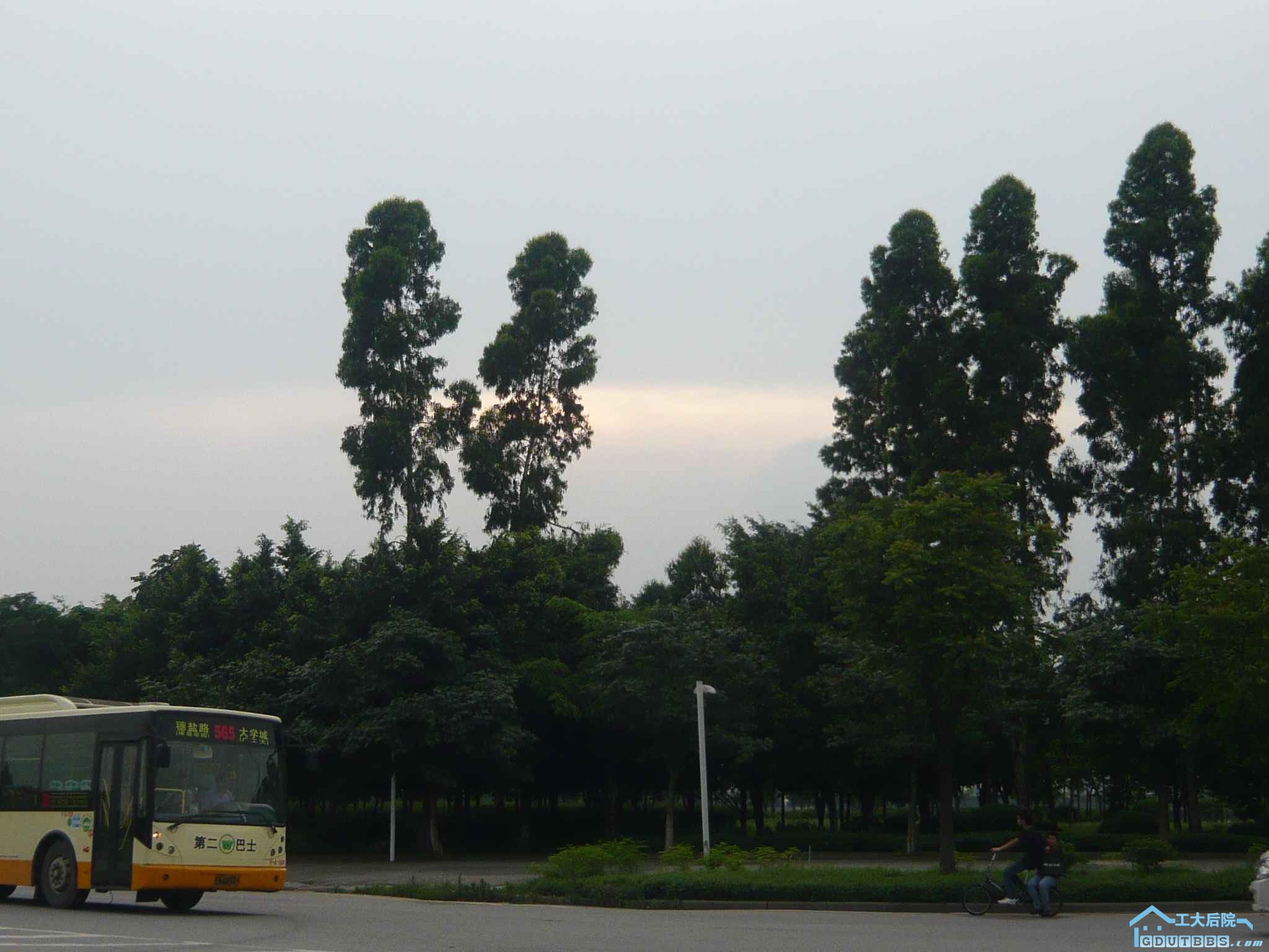 P1110772.JPG
