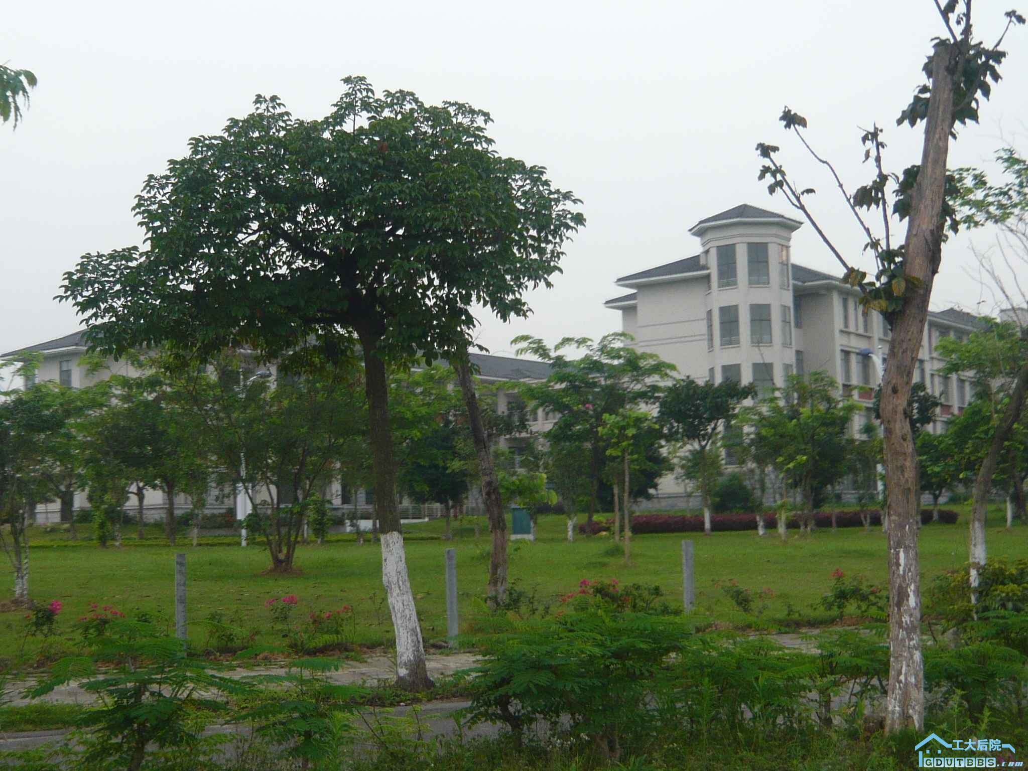 P1110781.JPG