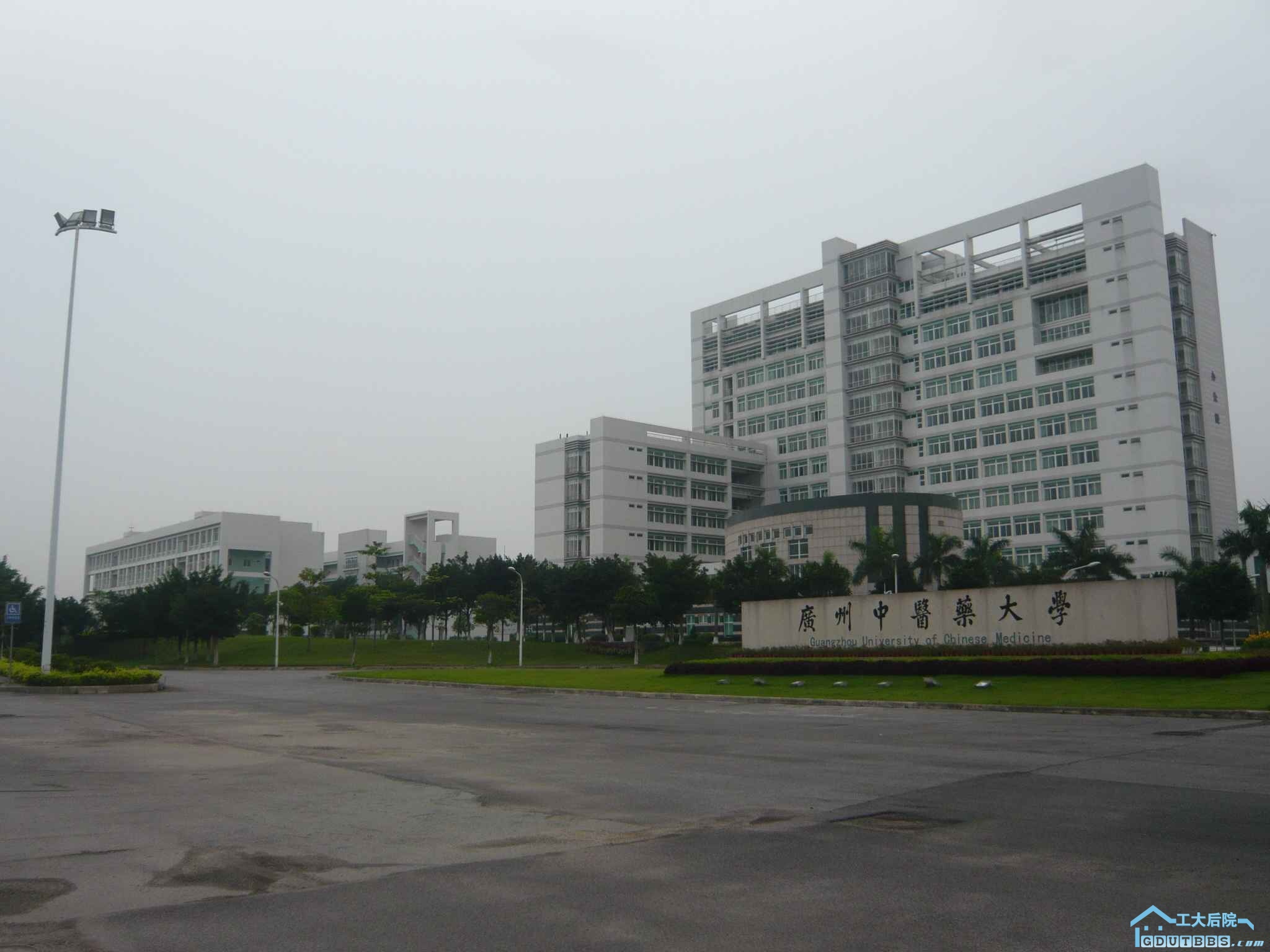 P1110787.JPG