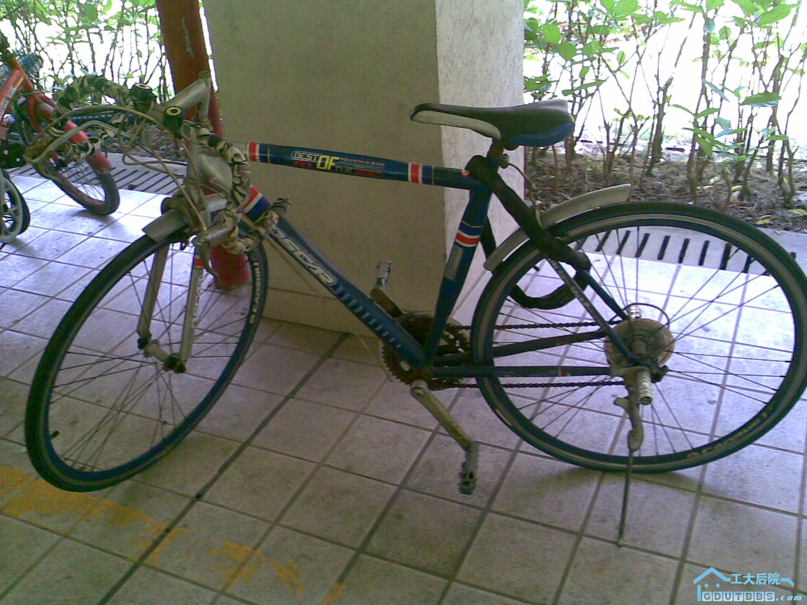 01012007(001).jpg
