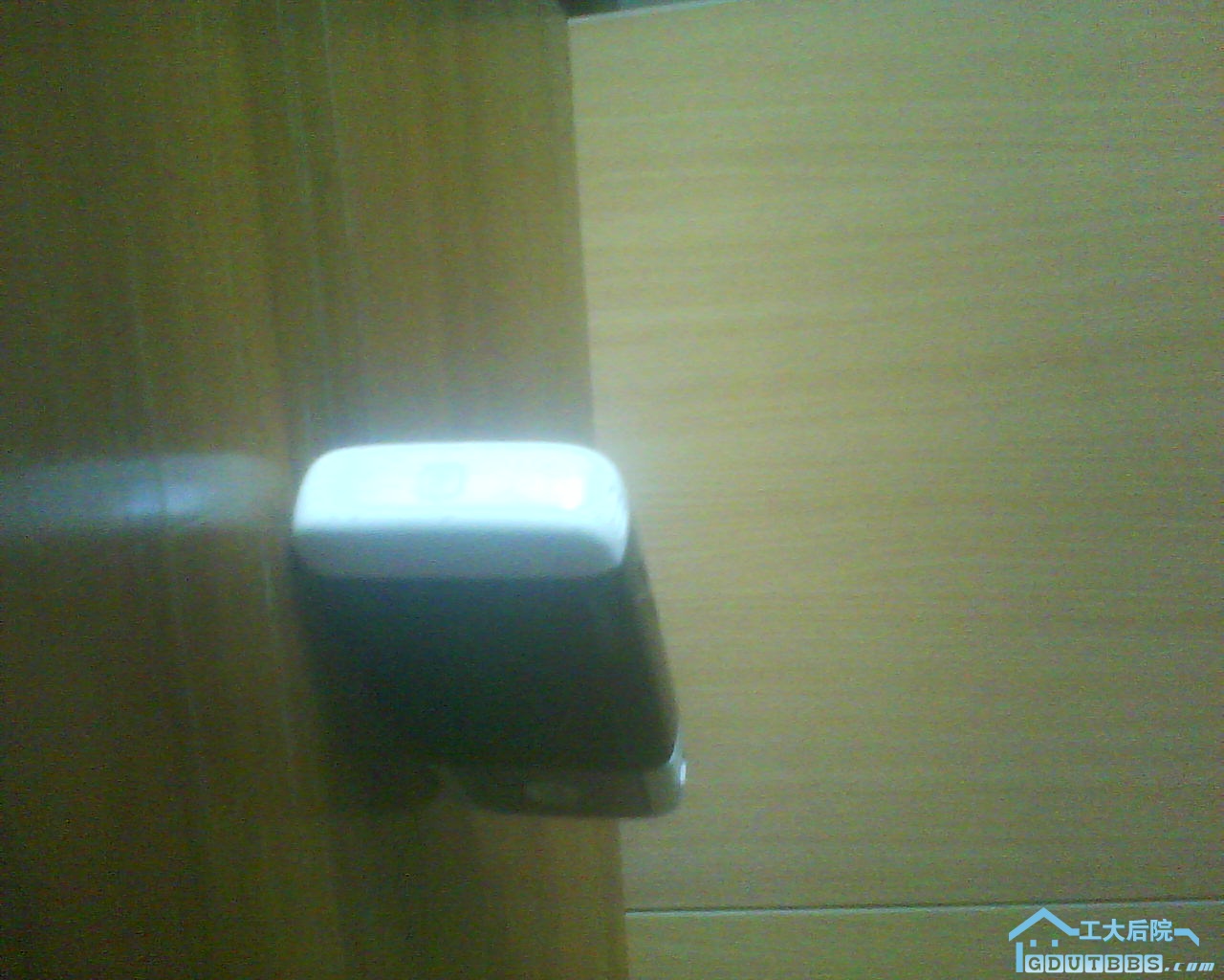 DSC00005.jpg