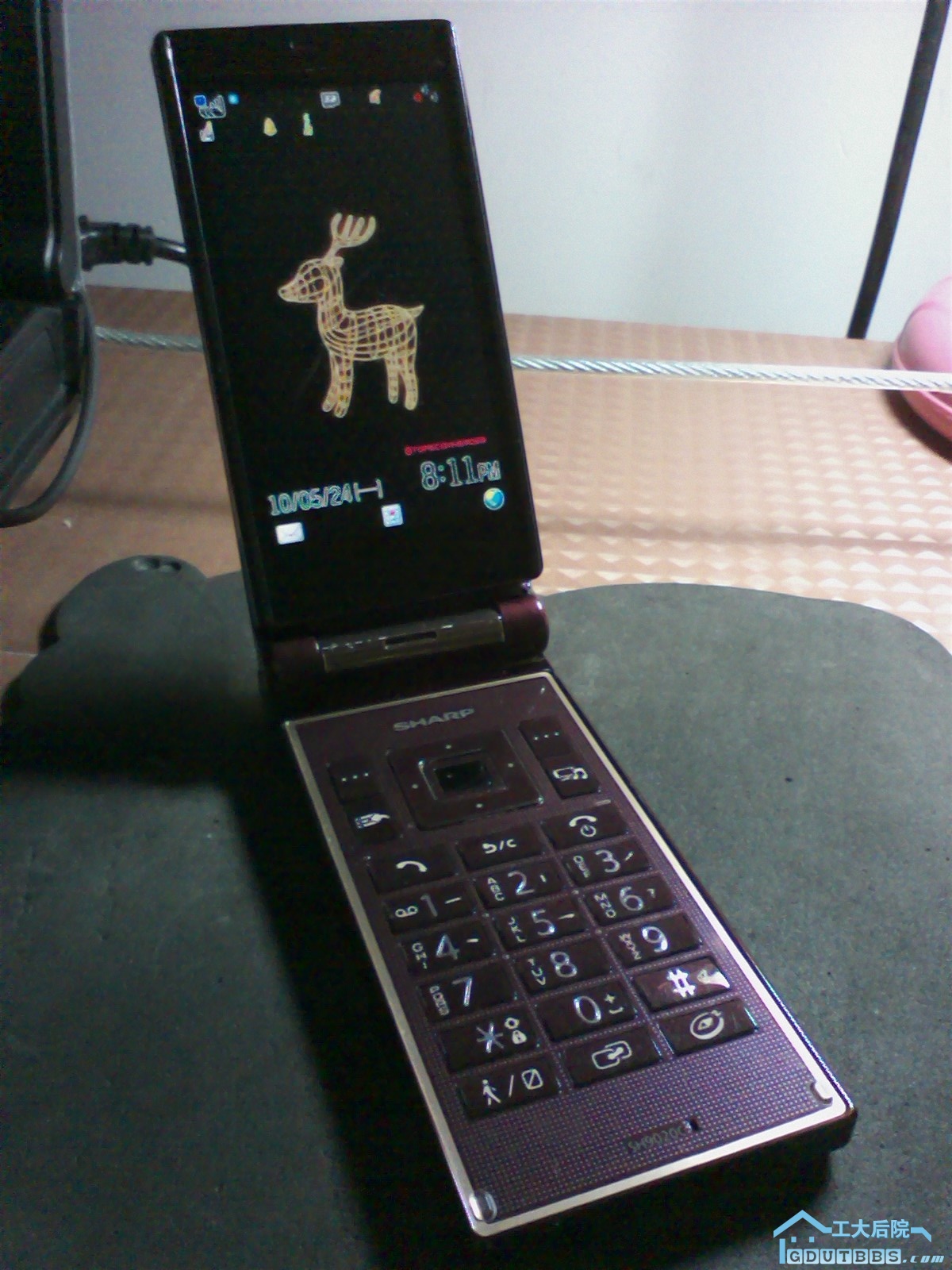 SA3E0354.jpg