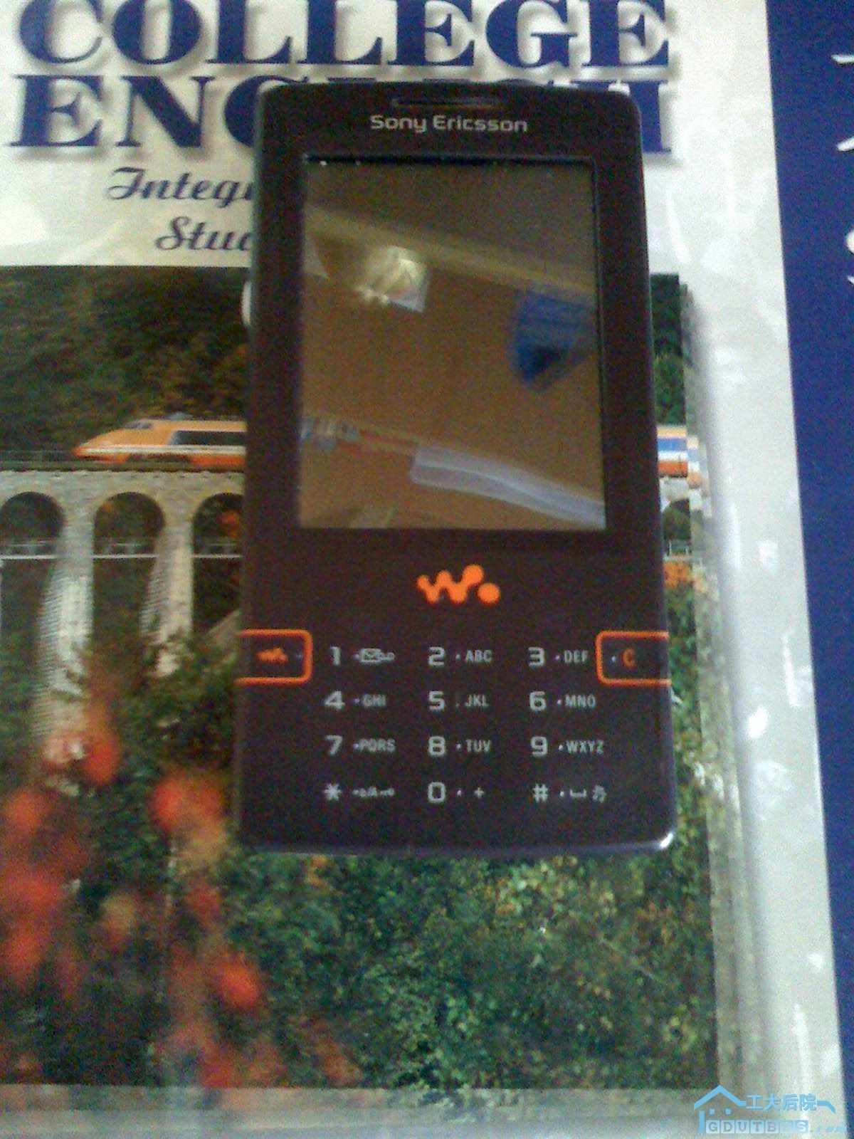 IMG0526120600.jpg