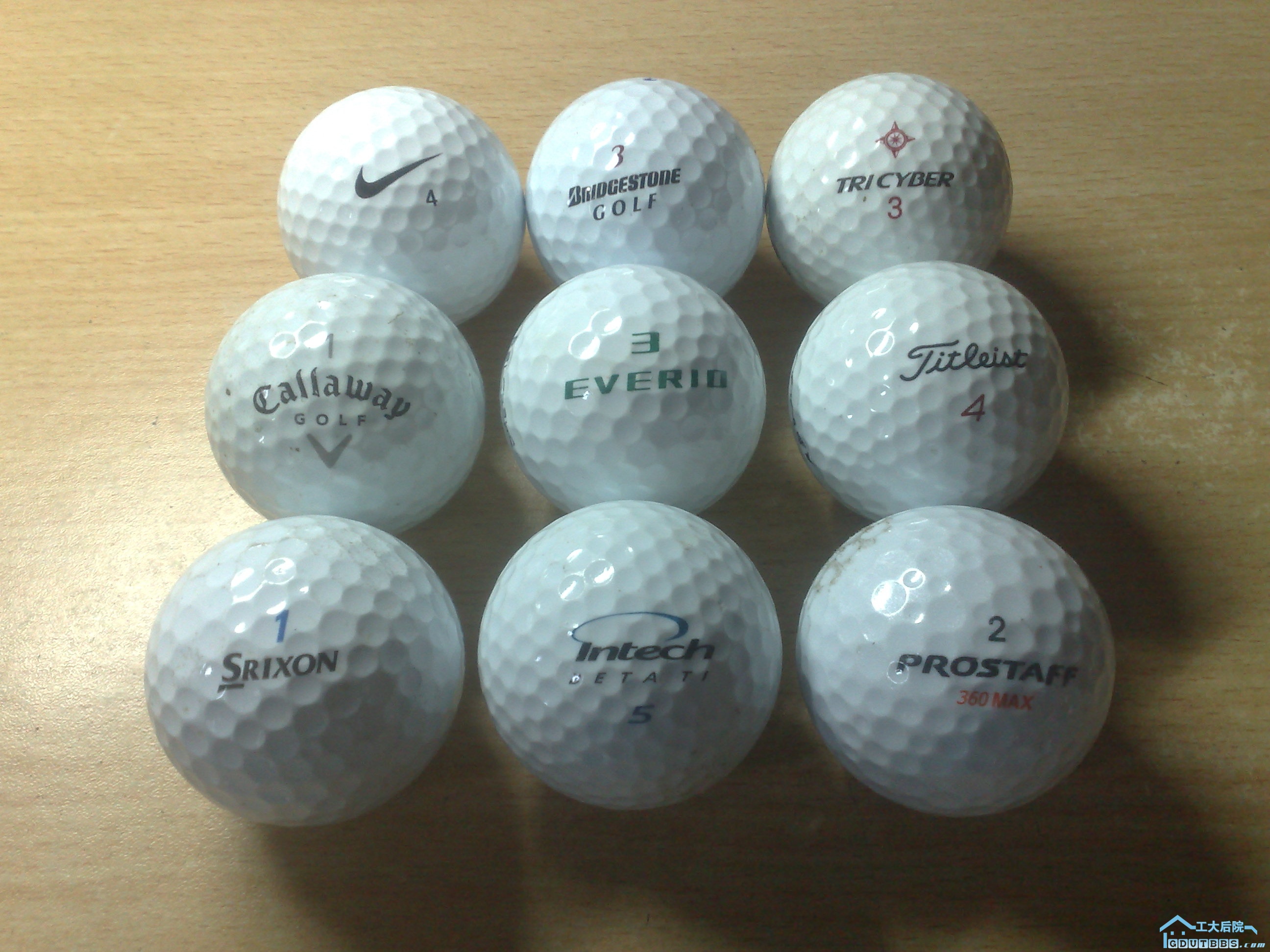 20100526042.jpg