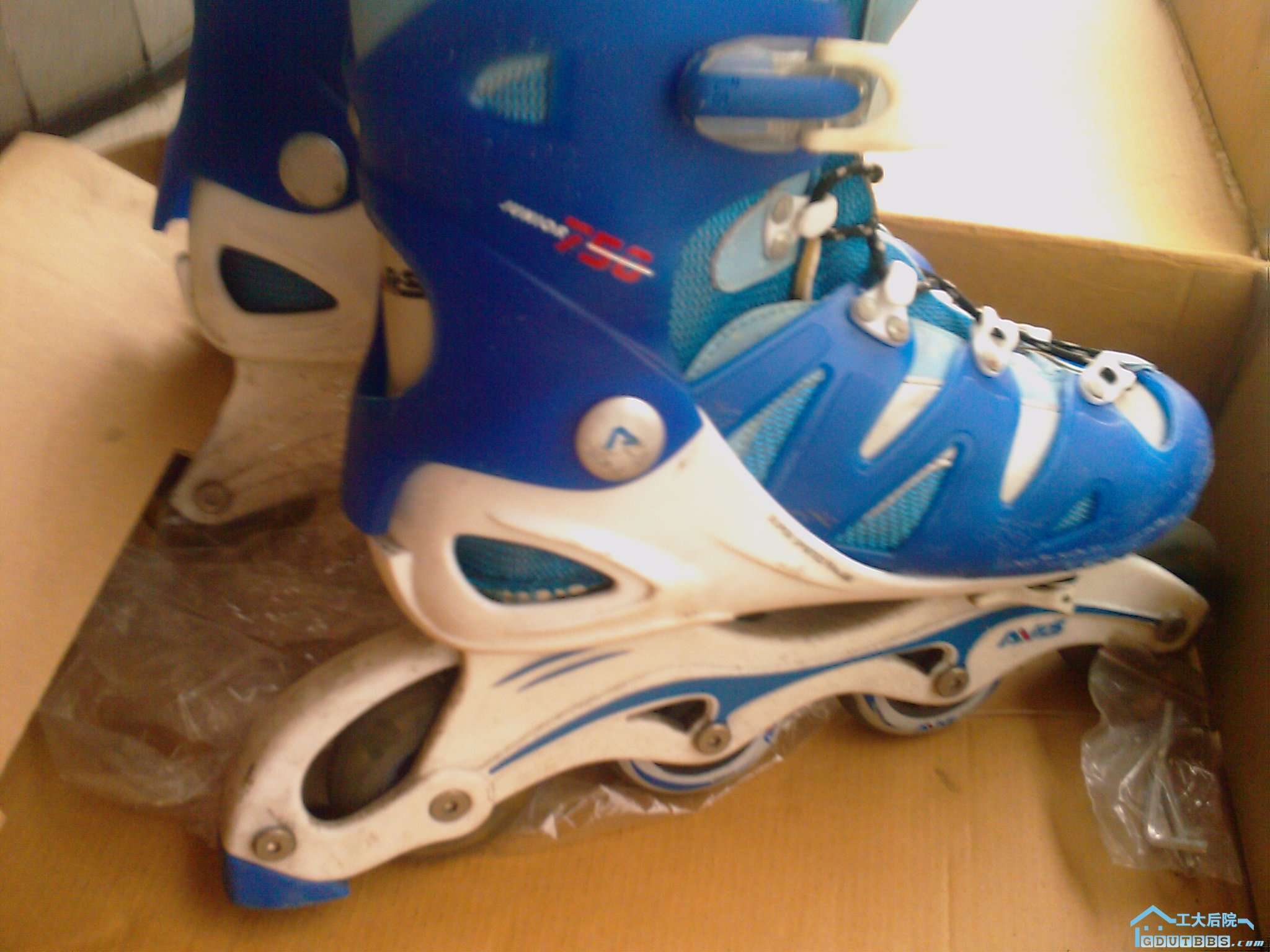 201005291502_009.jpg