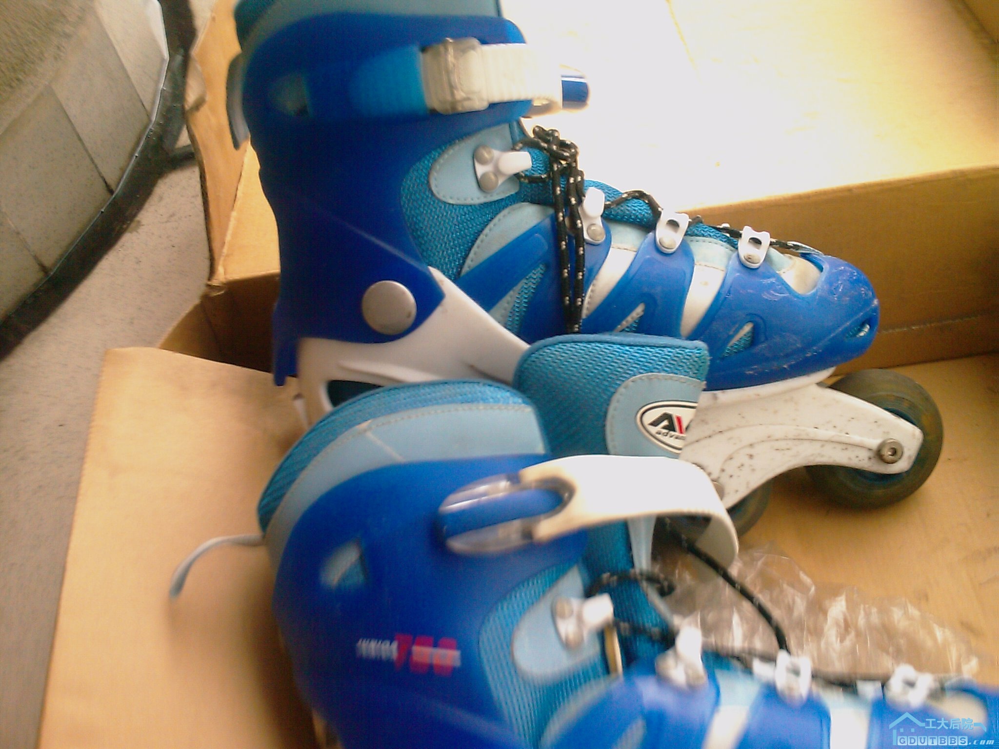 201005291502_010.jpg