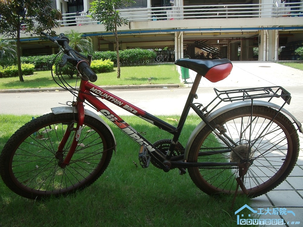 bike.jpg