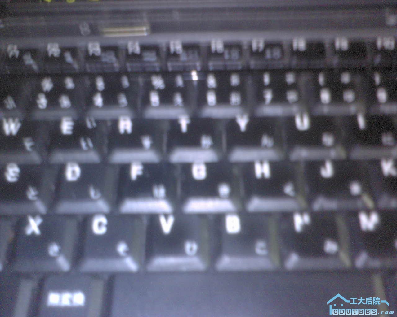 DSC00168.JPG
