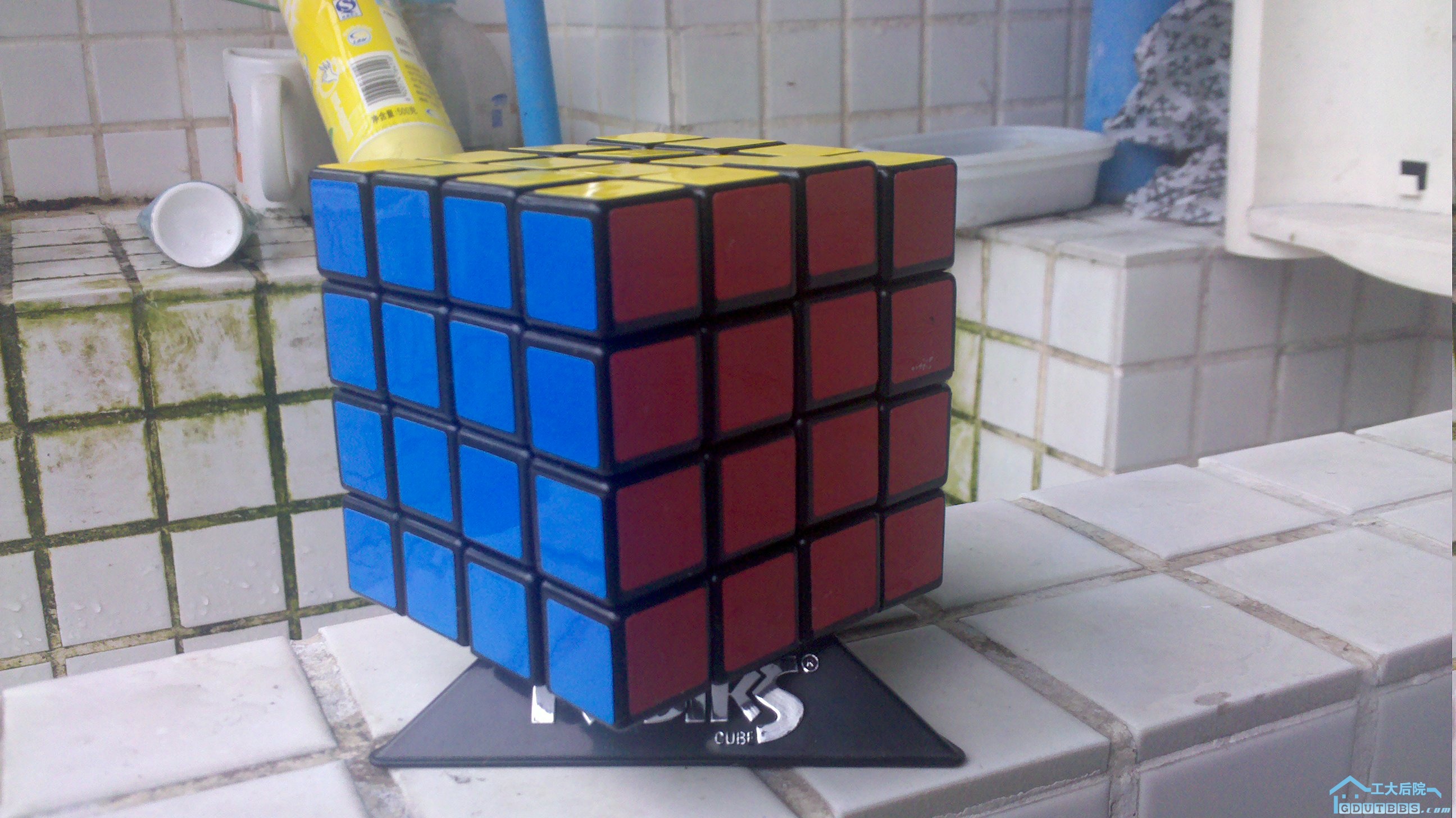 2010-05-31_13-10-10_871.jpg