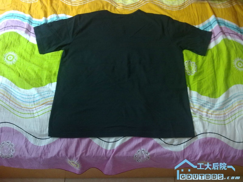 20100511381.jpg