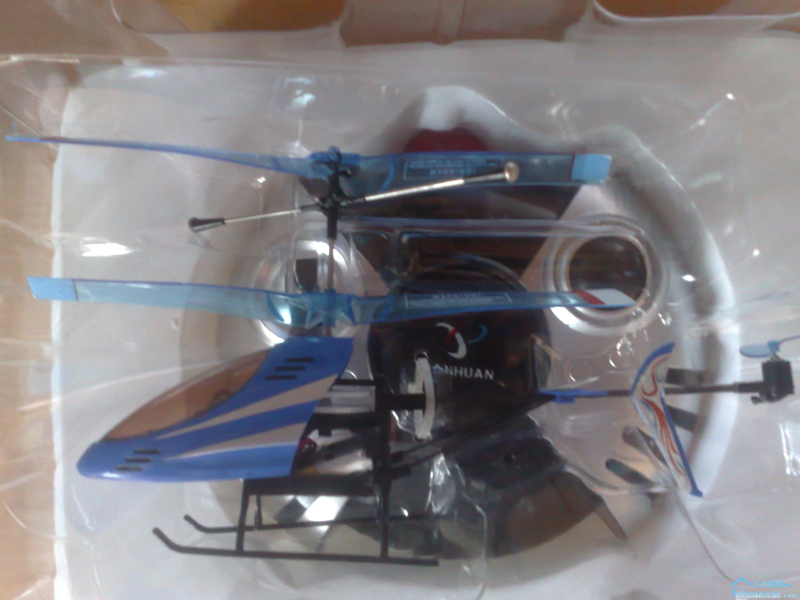 20100523031.jpg