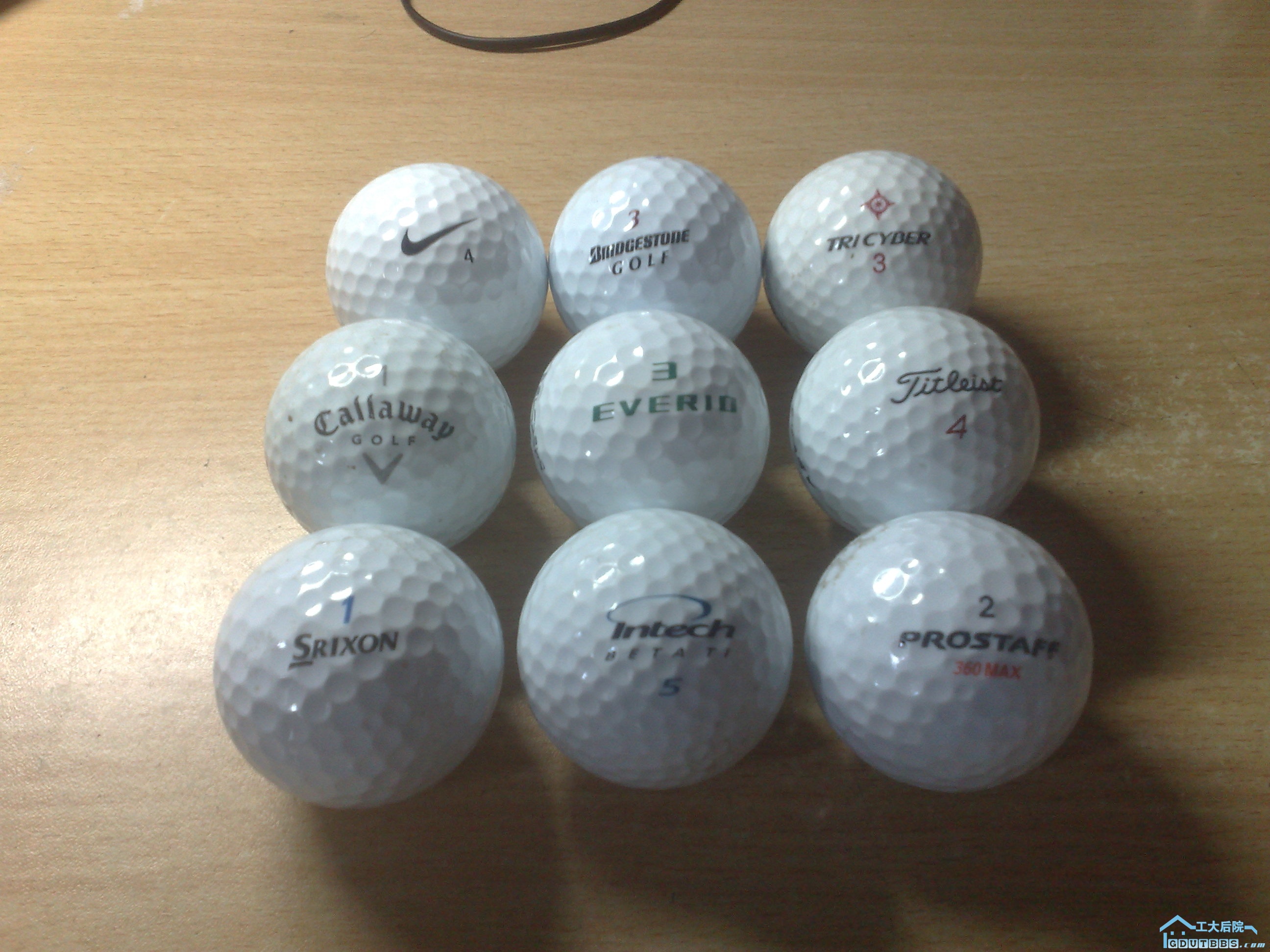 20100526040.jpg