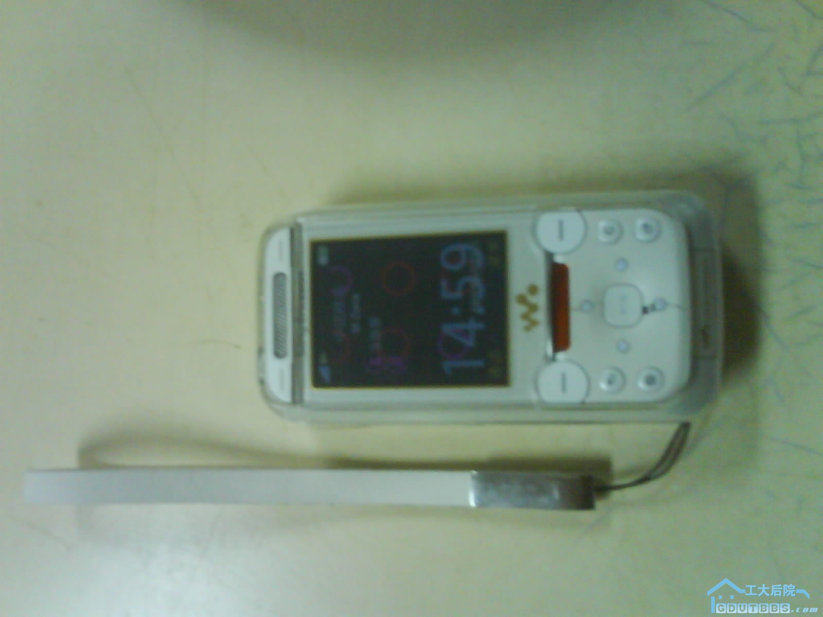 DSC00380.JPG