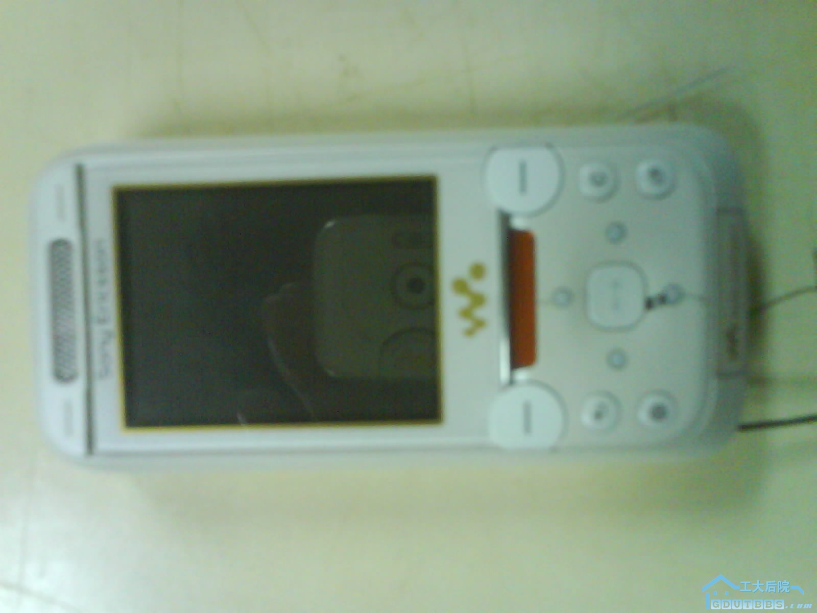 DSC00372.JPG