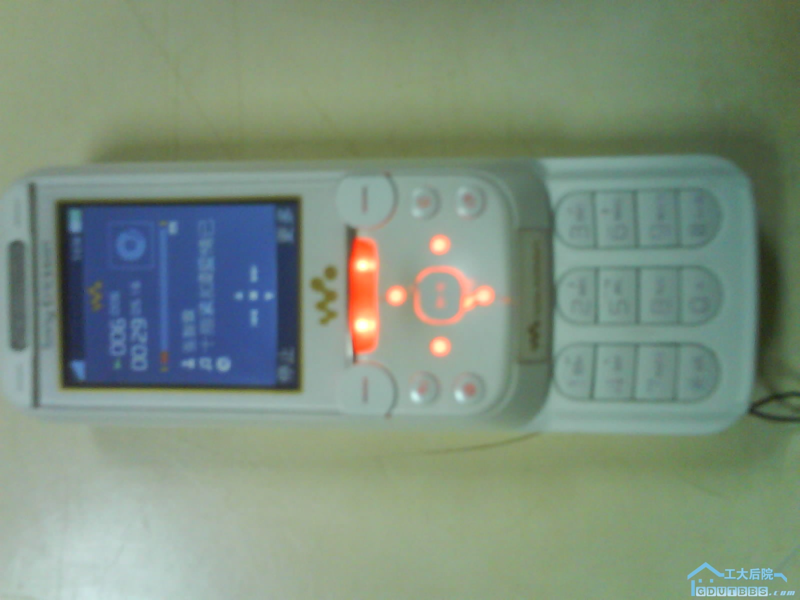 DSC00374.JPG