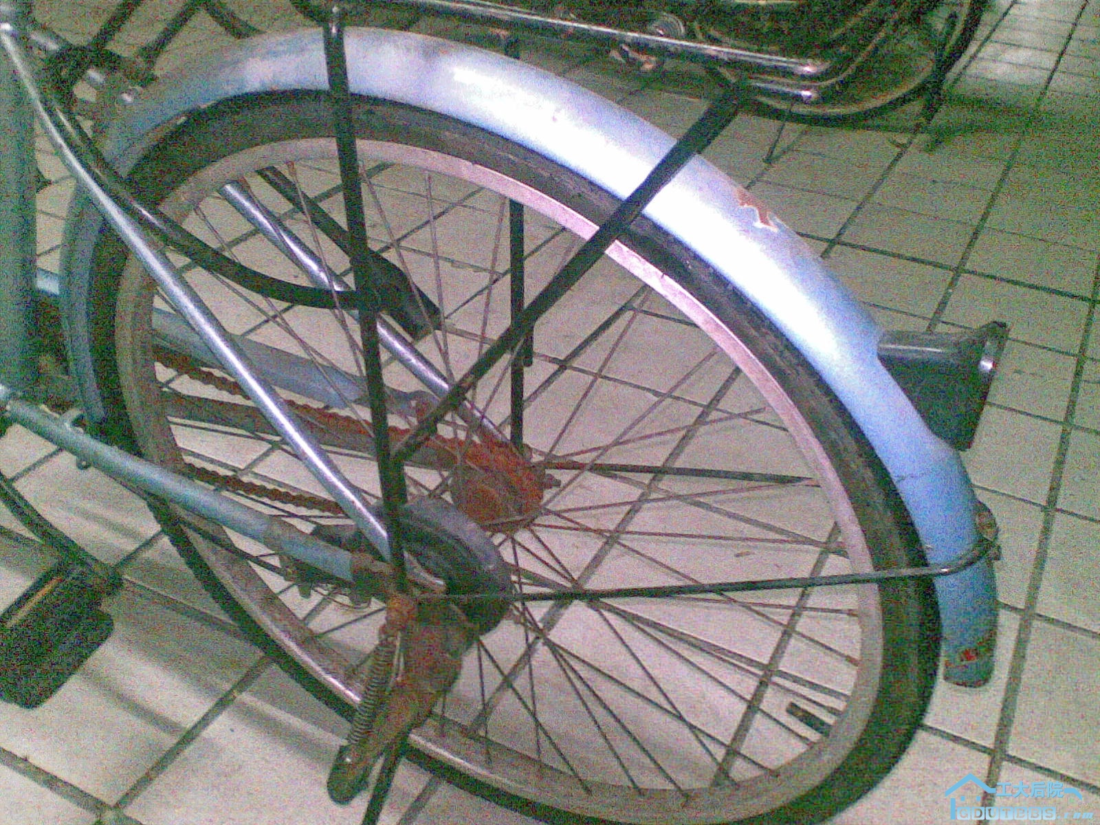 20100602_009.jpg
