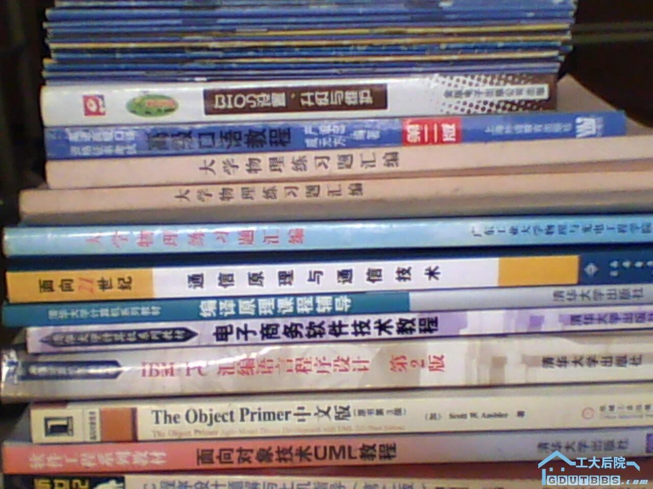 IMG0131A.jpg