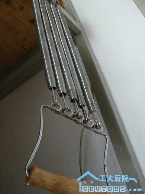 P1100136.JPG