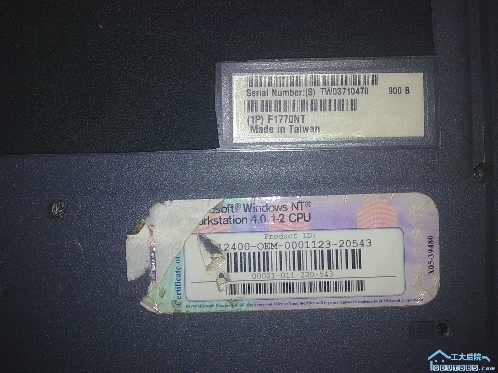 20100603240.jpg