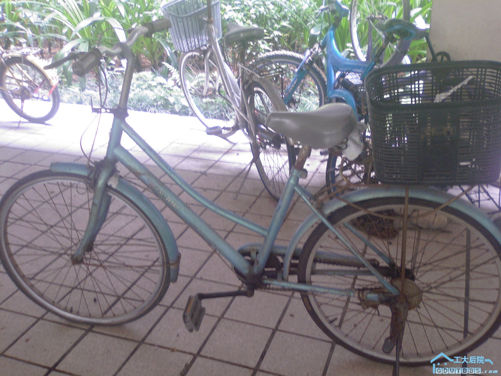 二手单车 (1).jpg