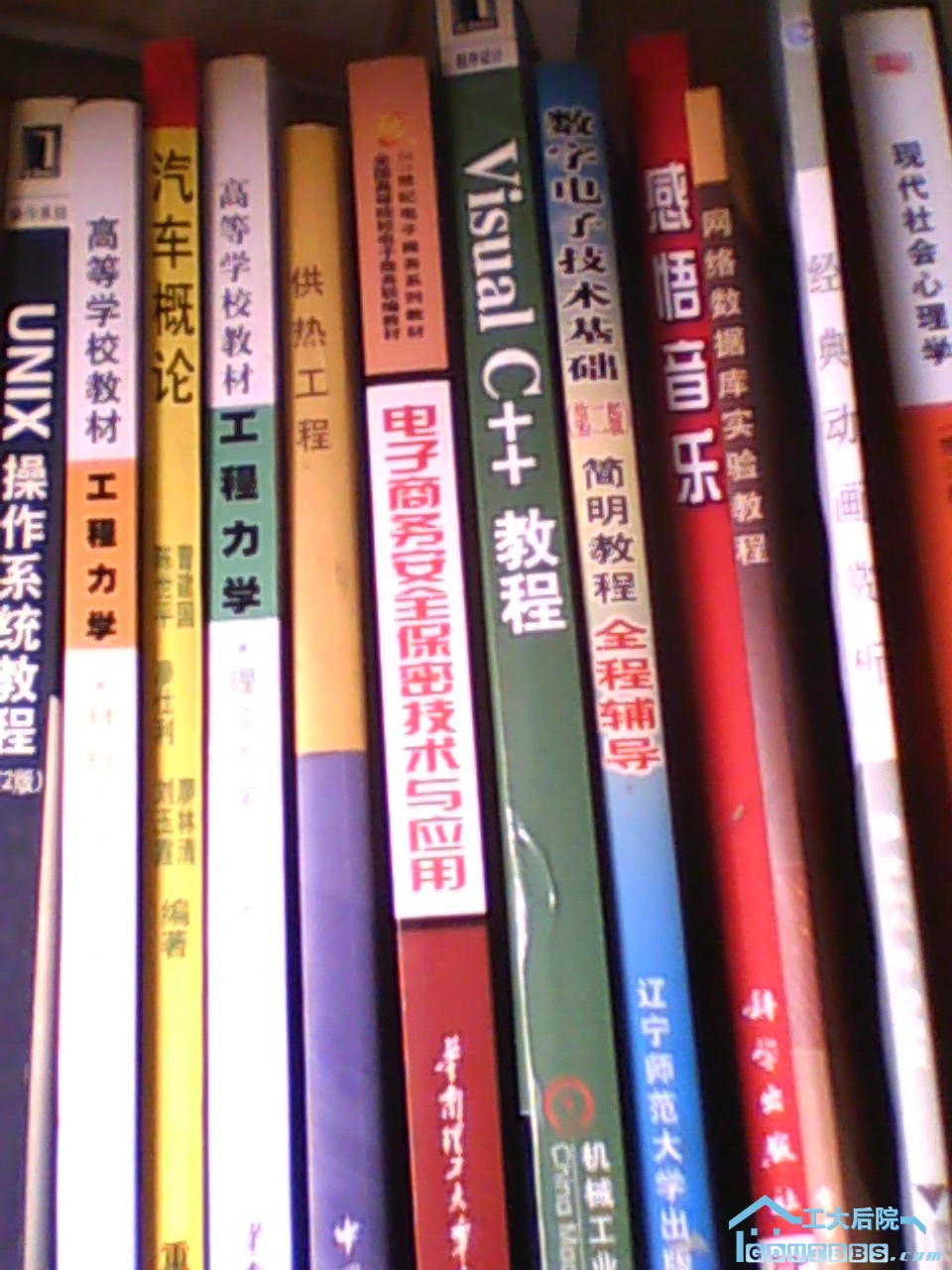 IMG0134A.jpg