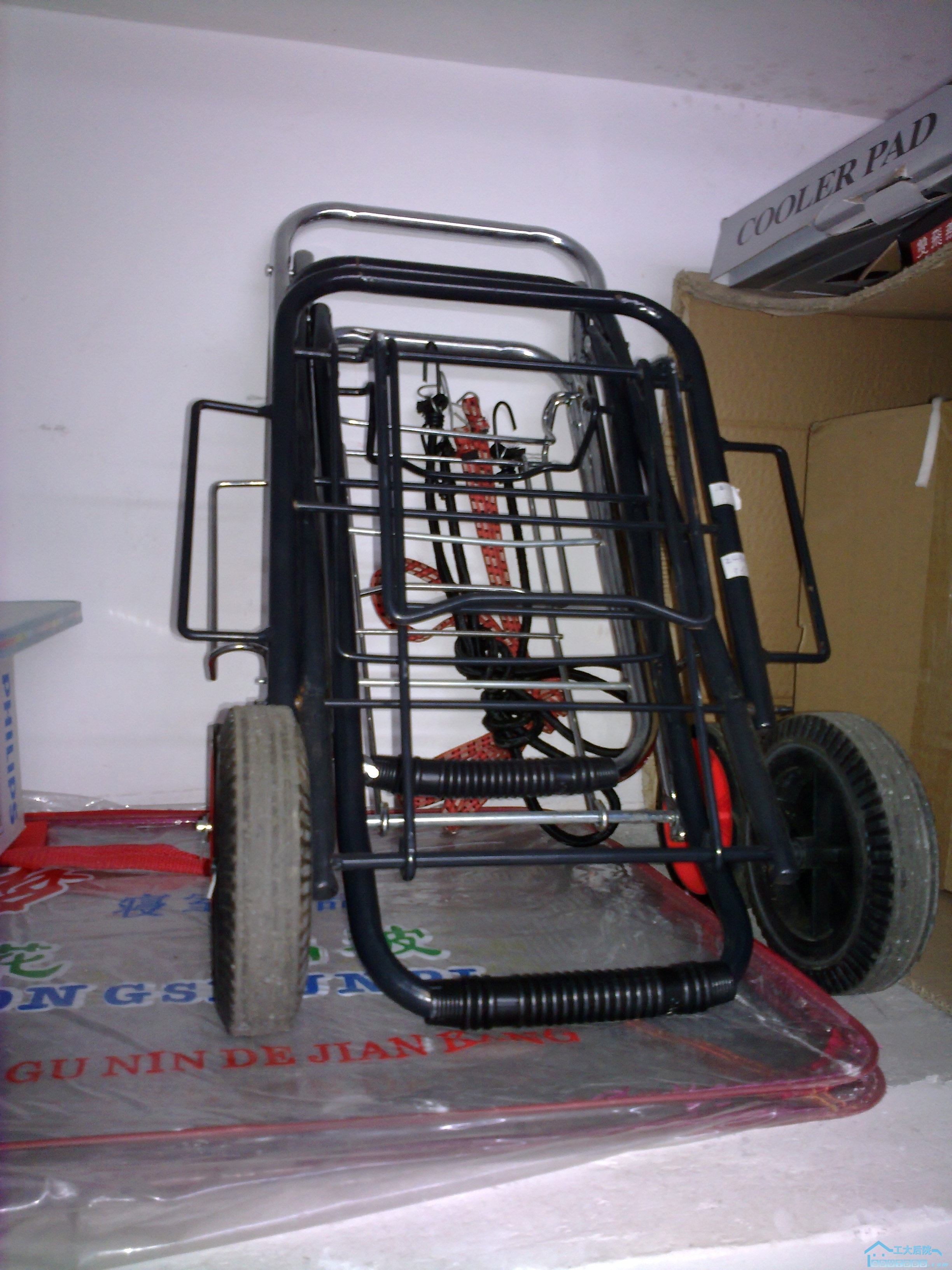 20100604008.jpg