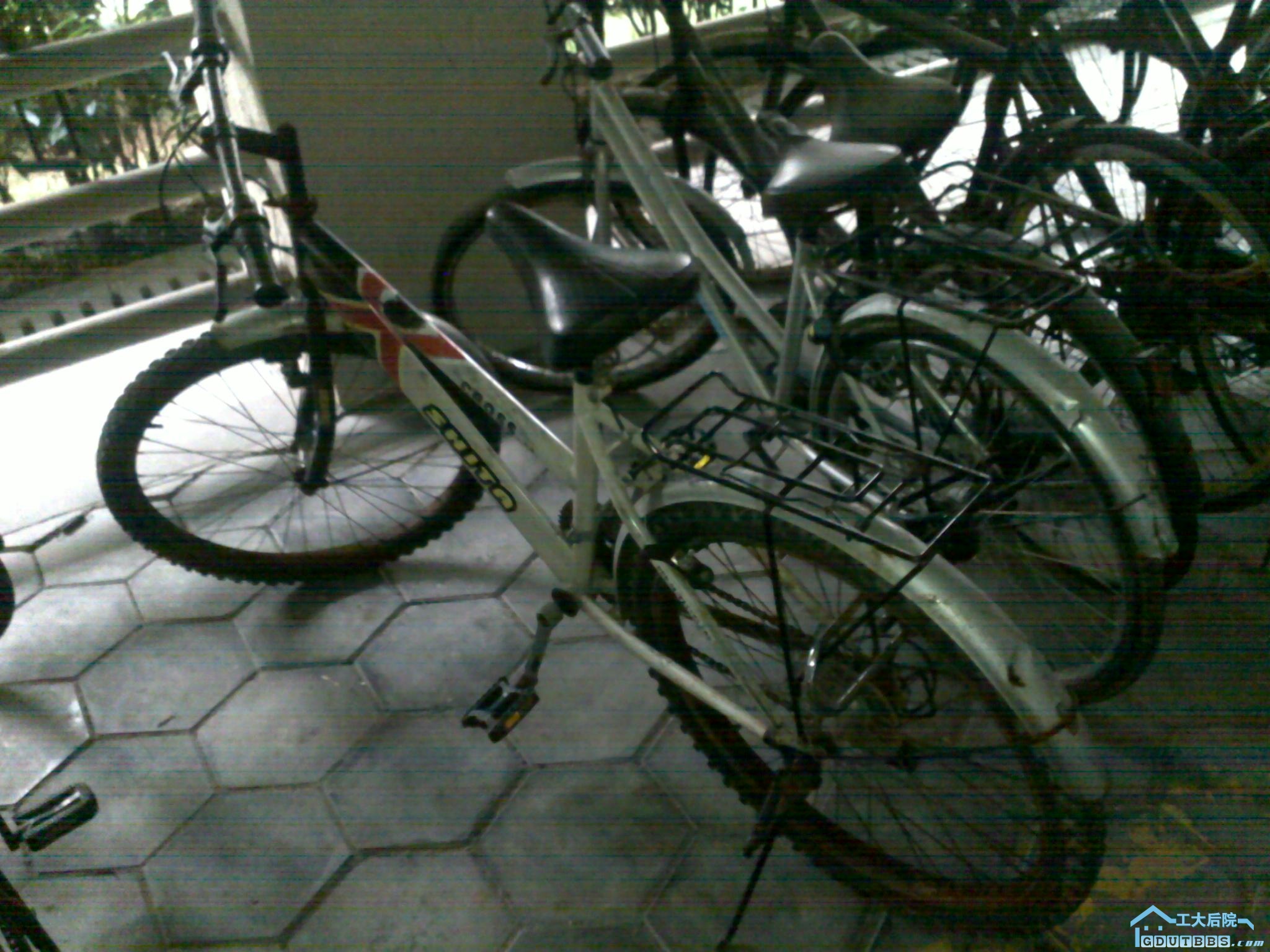 201006051439.jpg