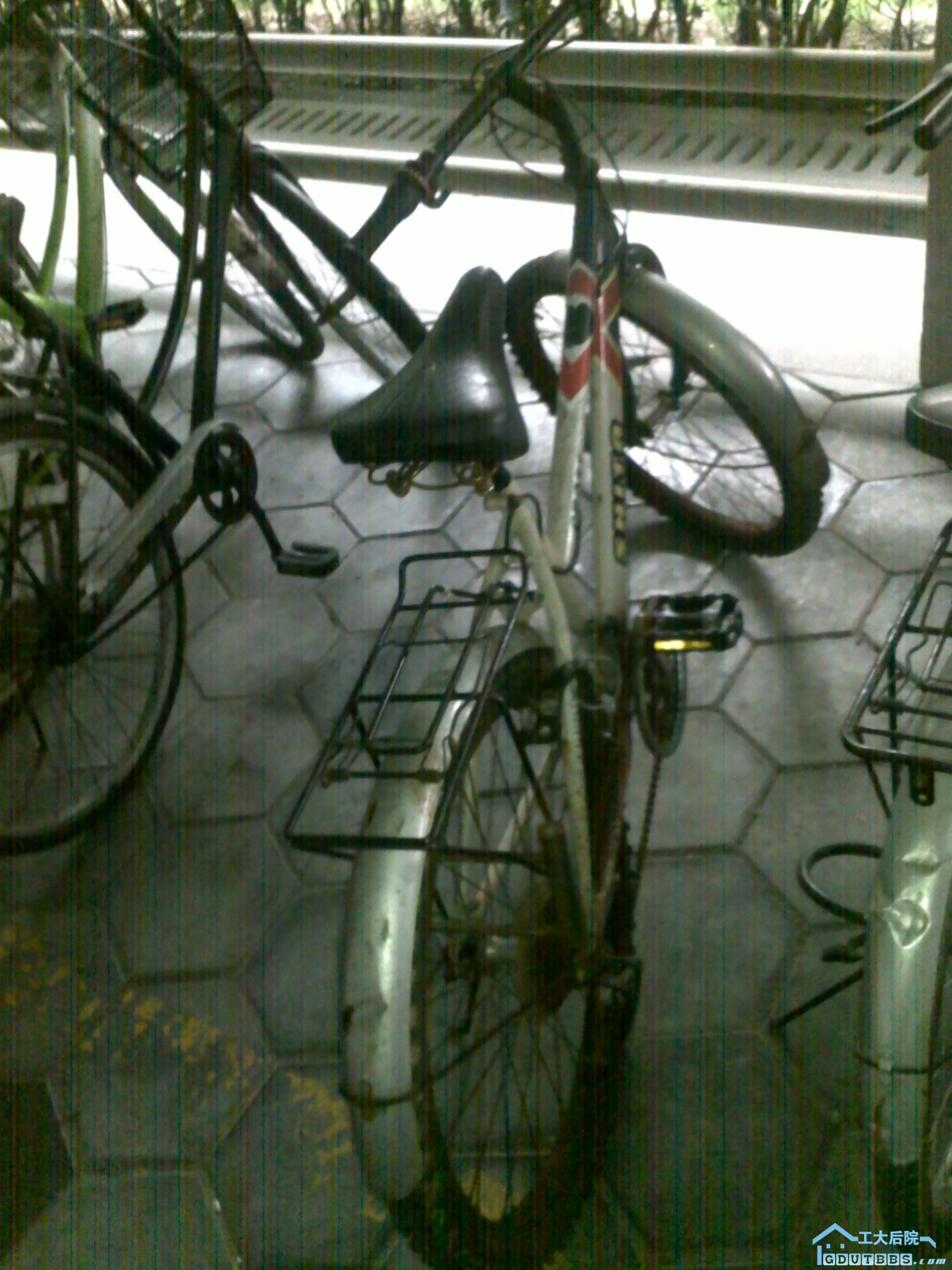 201006051440.jpg