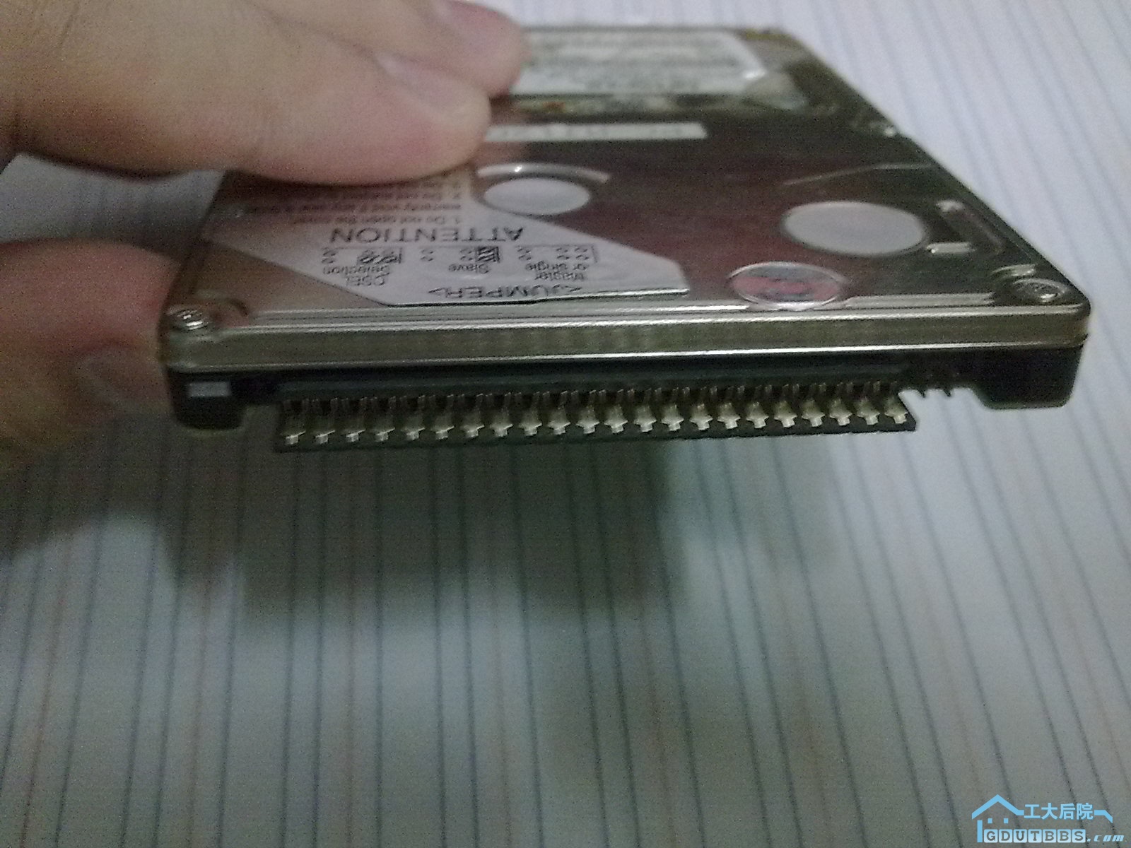 20100606252.jpg