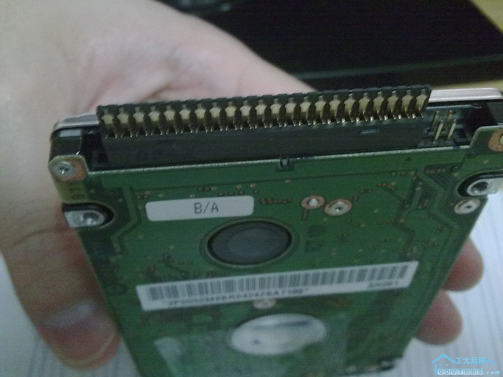 20100606254.jpg
