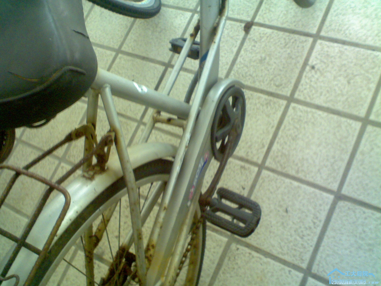 Picture0004.jpg