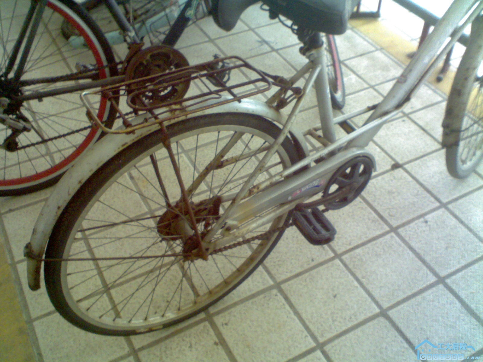 Picture0001.jpg