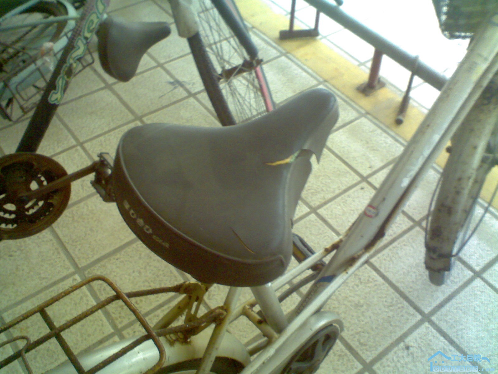 Picture0003.jpg