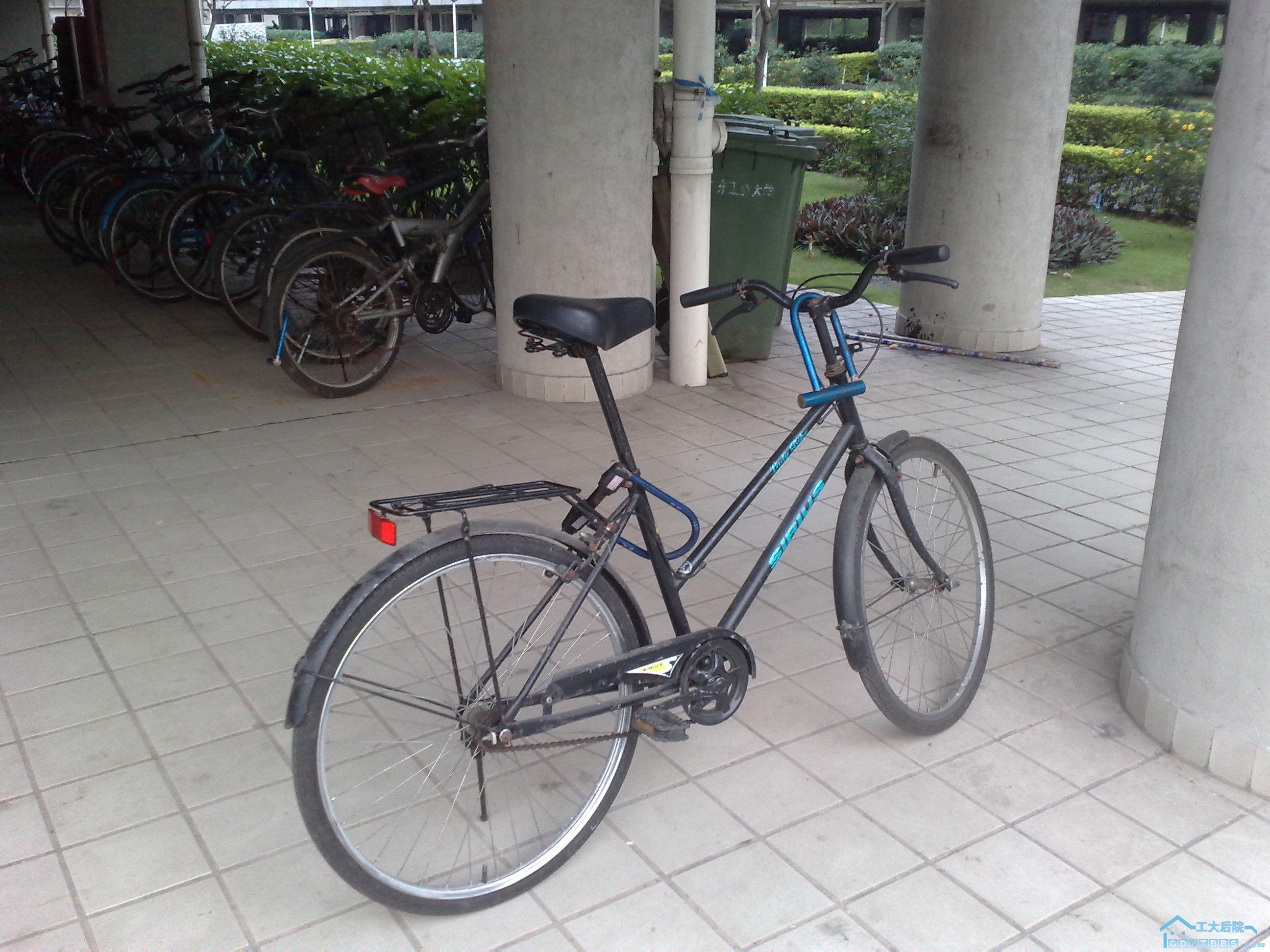 20100607027.jpg