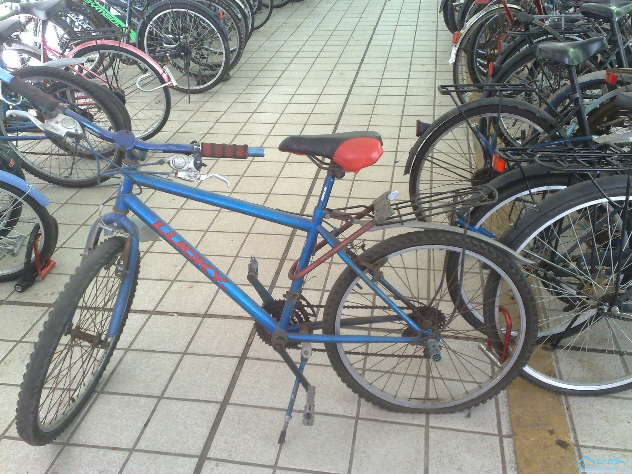 20100608563.jpg