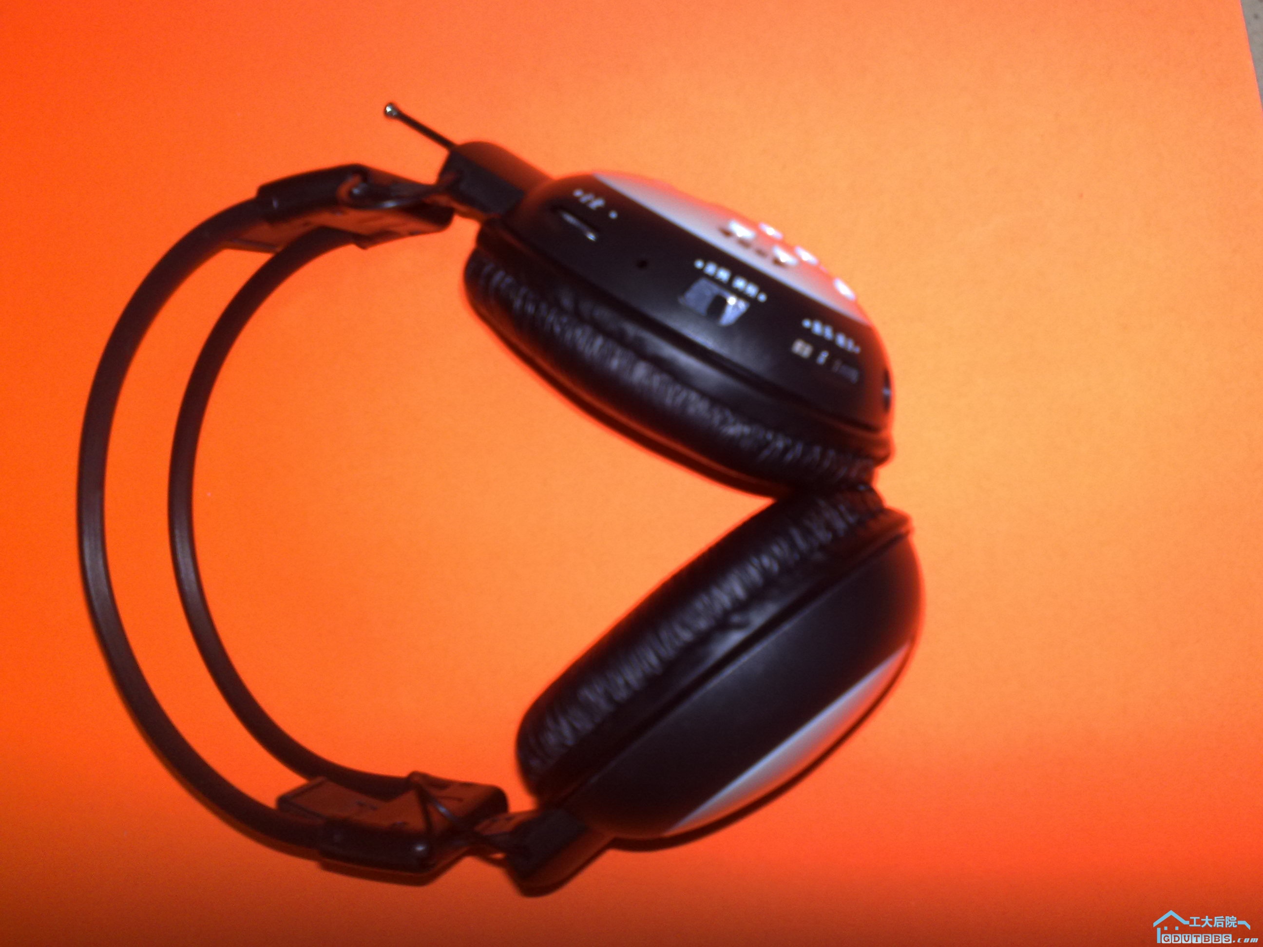 20100608373.jpg